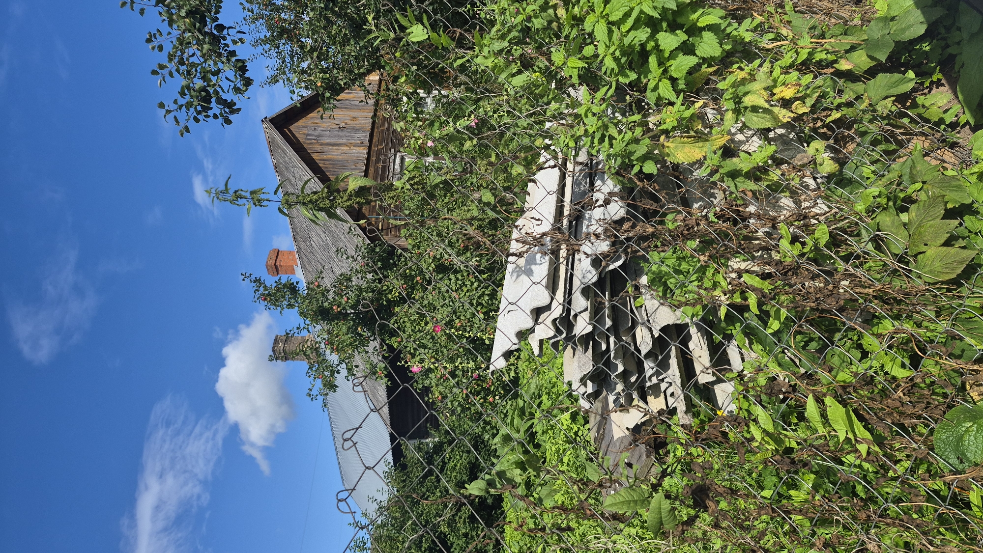 This image depicts a scene of a rural property in Krāslava, Latvia. In the foreground, a chain-link fence with overgrown vegetation runs horizontally across the frame. Behind the fence, a pile of corrugated asbestos roofing sheets is stacked. In the midground, lush green bushes and trees obscure the view of two houses. One house, appearing older, has a weathered wooden exterior and a grey, sloped roof. The other house, partially visible to the left, has a metal roof and two brick chimneys. The sky above is a clear blue with scattered white clouds, indicating a daytime setting. The overall impression is one of a somewhat neglected but functional rural dwelling.