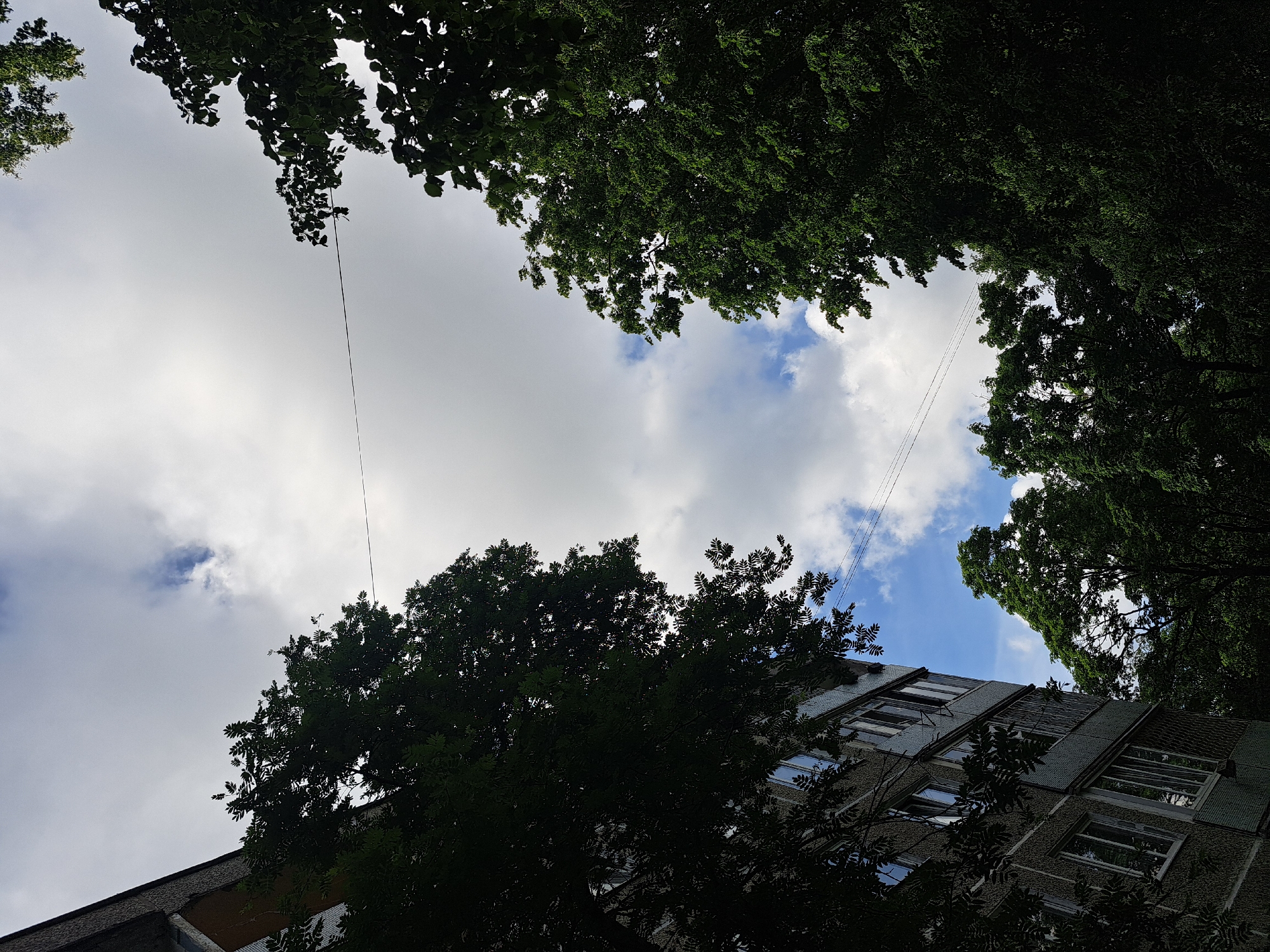 The image captures a low-angle view of an apartment building and dense green trees against a cloudy sky. The building, partially visible on the left, appears to be a typical Soviet-era panel building, characterized by its textured facade and numerous windows. Several branches and leaves from mature trees frame the scene, with the foliage casting shadows and partially obscuring the building and the sky. Two thin wires stretch horizontally across the frame, suggesting the presence of overhead electrical or communication lines. The sky is a mix of white and gray clouds, with patches of blue sky visible. The overall impression is one of an urban environment where nature, in the form of trees, is integrated with residential architecture. The image does not contain any people or visible actions. Based on architectural style and common urban planning in the Baltic region, this scene is consistent with many residential areas in the city of Riga, Latvia.