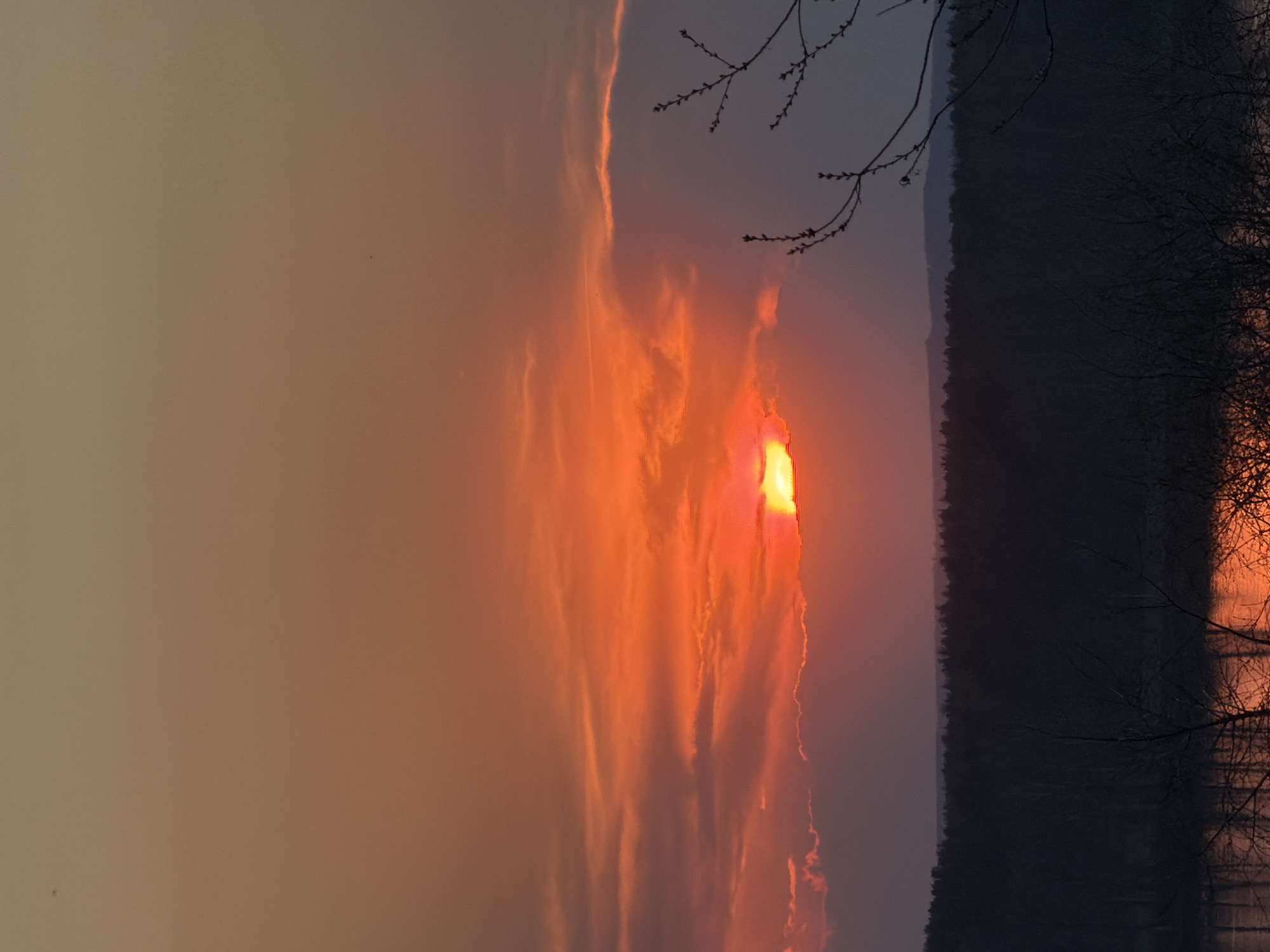 The image depicts a sunset over a body of water, possibly a lake or river, located near a forest or dense collection of trees. The sunset is characterized by vibrant orange and red hues, partially obscured by clouds. Silhouetted tree branches are visible in the upper portion of the image. The location is Chaikovsky, Russia.