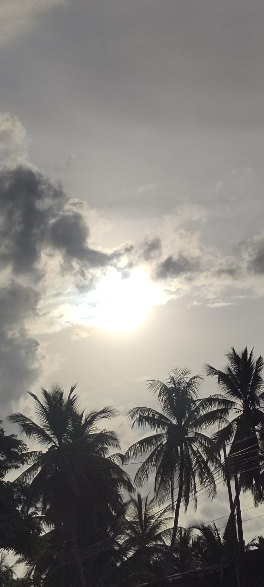 The image, likely taken in Peurupok, Indonesia, depicts a sky obscured by a thick layer of gray and white clouds. The sun is visible, shining brightly through a break in the cloud cover. Silhouetted palm trees occupy the lower portion of the frame. Power lines are also visible, running amongst the palm trees. The absence of people suggests a quiet or unoccupied location. The overall environment suggests a tropical climate, with the image dominated by the sky and palm trees.