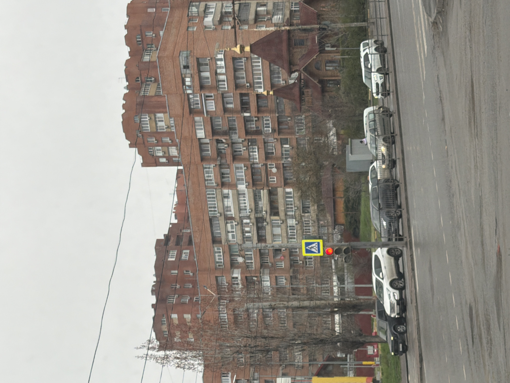 The image shows a street in Rostov-on-Don, Russia. A tall brick apartment building dominates the background. A pedestrian crossing sign and a traffic light with a red light are visible. Several cars are parked along the side of the road. Bare trees stand between the road and the building. The sky is overcast. The road appears wet.