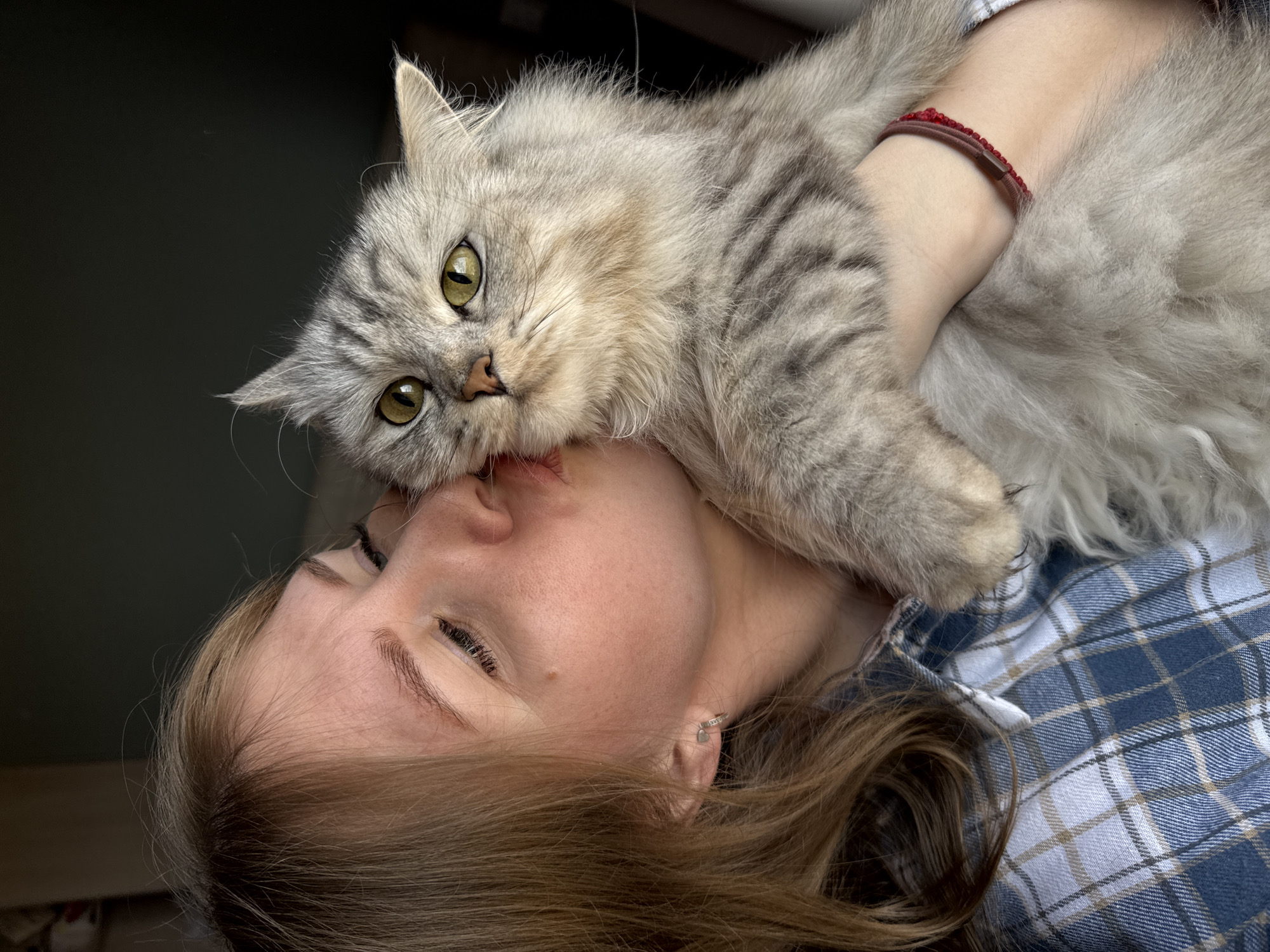 A woman with light skin and light brown hair is lying on her back, holding a fluffy gray cat in her arms. The cat is positioned on her upper body, close to her face. The cat is facing the camera, with its face near the woman's mouth. The woman's face is tilted to the side, with her eyes partially closed. She appears to be kissing or nuzzling the cat. The woman is wearing a blue and white plaid shirt, and a red bracelet on her wrist is visible. The background is dark and blurry. The scene is likely indoors. The exact location in Gornyi is not discernible.