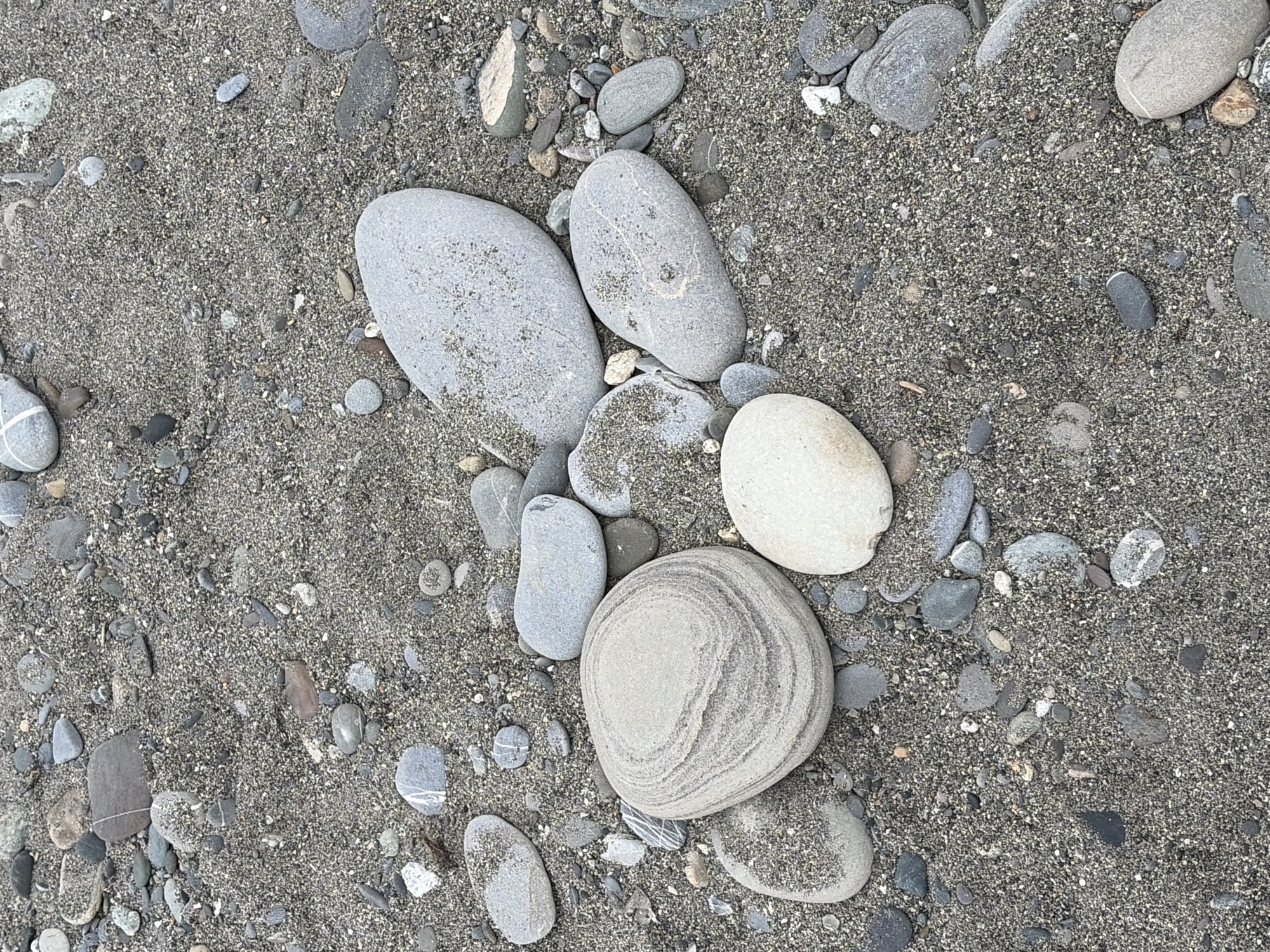 This is a close-up, eye-level, outdoor, full shot of a collection of rocks of various sizes and colors scattered on a dark, sandy beach. The sand appears coarse with small pebbles mixed in. The rocks are predominantly smooth and rounded, with shades of gray, white, and tan. One large, oval-shaped rock in the center displays distinct concentric rings of light and dark gray. Another large, lighter gray rock to its right has faint, lighter-colored markings. Several smaller rocks are interspersed throughout the sand. The lighting is diffused, suggesting an overcast day or shade. There are no people or animals visible in the image. The scene is consistent with a beach environment along the coast of Sochi, Russia, known for its pebble beaches.