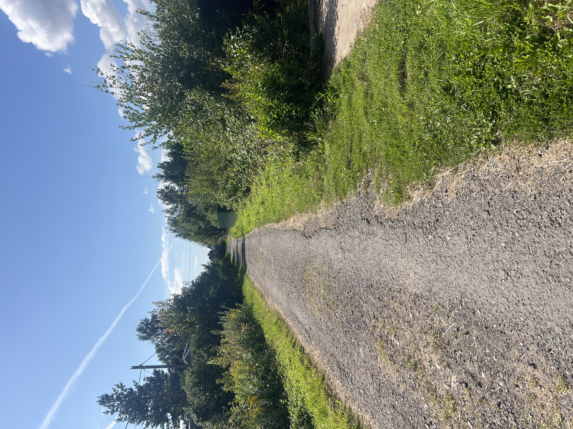 A sunlit, narrow gravel path winds through a residential area in Imeni Morozova, Russia. Lush green vegetation lines both sides of the path, with dense bushes and trees forming a verdant corridor. The path appears well-maintained, with occasional patches of dry grass and exposed gravel. In the distance, the path disappears into a grove of trees, hinting at further exploration. The sky above is a brilliant blue, dotted with fluffy white clouds and a thin, wispy contrail from an aircraft, suggesting a clear and pleasant day. The scene evokes a sense of rural tranquility and natural beauty, characteristic of the Russian countryside.