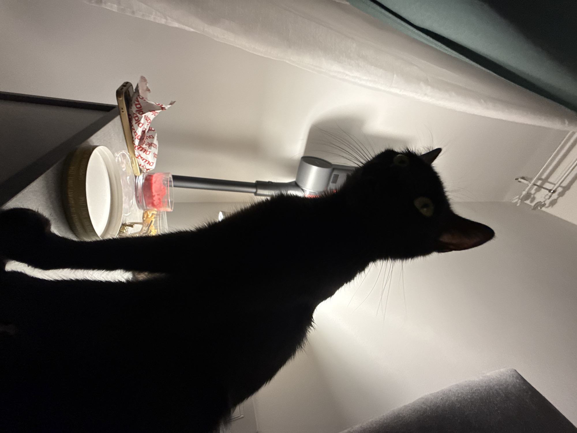 A black cat with green eyes is silhouetted against a brightly lit background in an indoor setting, possibly a room. The cat is positioned on what appears to be a dark-colored surface, likely a dresser or table, in the foreground. To the left of the cat, a thin white curtain hangs next to a darker teal curtain. Behind the cat, a vacuum cleaner with a silver wand and a gray handle is visible, leaning against the wall. On the surface in front of the cat, there are several objects: a cell phone with a piece of white paper with red text on it, a small glass container with red contents, and a large metallic lid. The lighting suggests an artificial light source is present, casting shadows and highlighting the cat's silhouette and the texture of the curtains and wall. The overall scene is dimly lit except for the area around the cat and the vacuum cleaner.