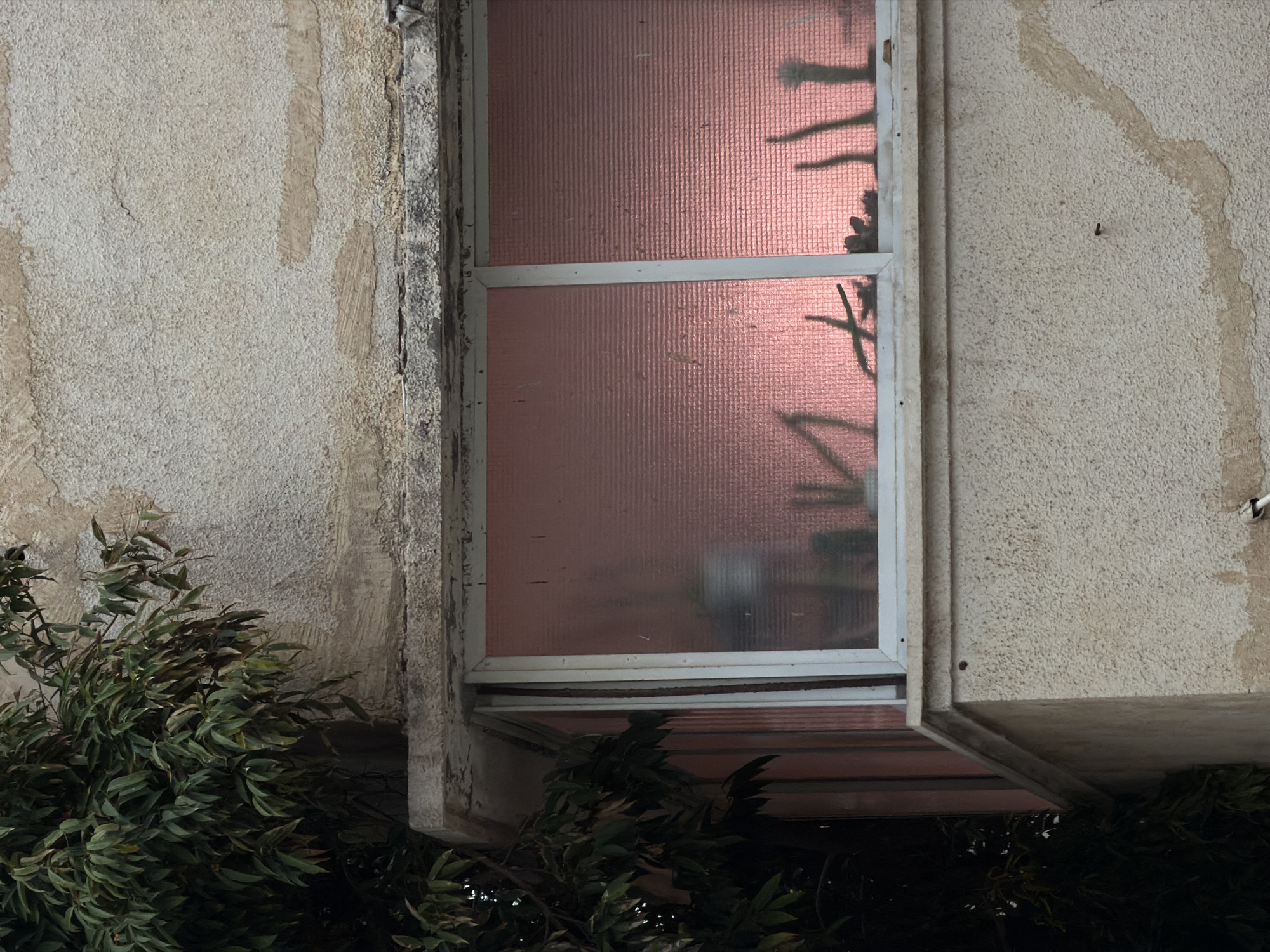 Exterior shot of a window with red textured glass and white frame in a concrete wall. A bush with dark green leaves is visible on the lower left and lower right of the image, partially obscuring the bottom of the window. The shadows of branches are visible on the window. The concrete wall appears aged with visible wear and discoloration. The location is Tel-Aviv, Israel.