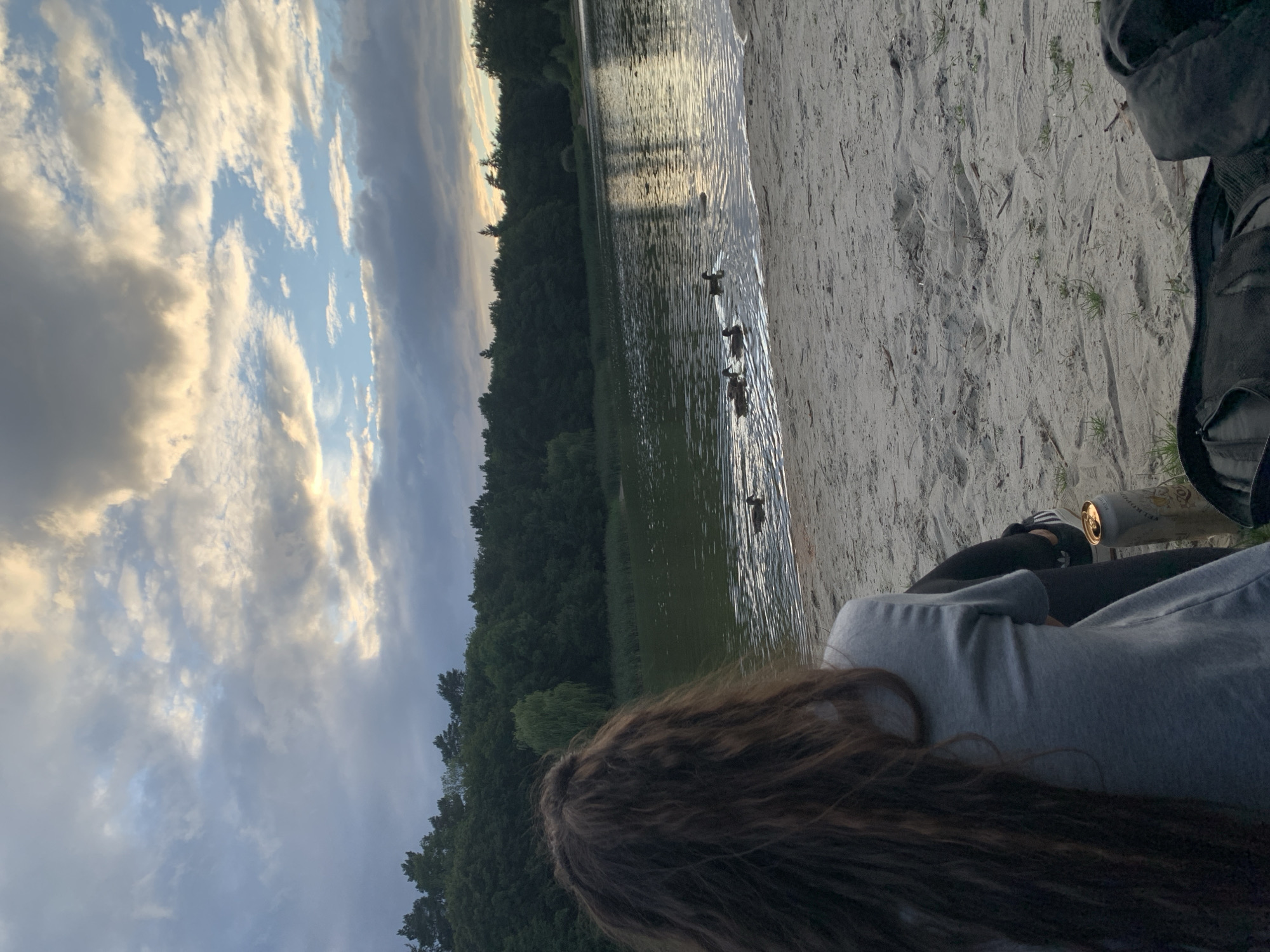 The image captures a serene view of a lake surrounded by lush green trees under a cloudy sky. In the foreground, a person with long, dark, curly hair is seen from behind, sitting on a sandy beach. They are wearing a grey t-shirt and dark pants, with a black backpack and a can of drink next to them. Several ducks are swimming in the calm water of the lake, creating ripples on its surface. The setting appears to be a natural outdoor location, possibly a park or a recreation area, at dusk given the soft lighting and dramatic clouds. The location is not specified.