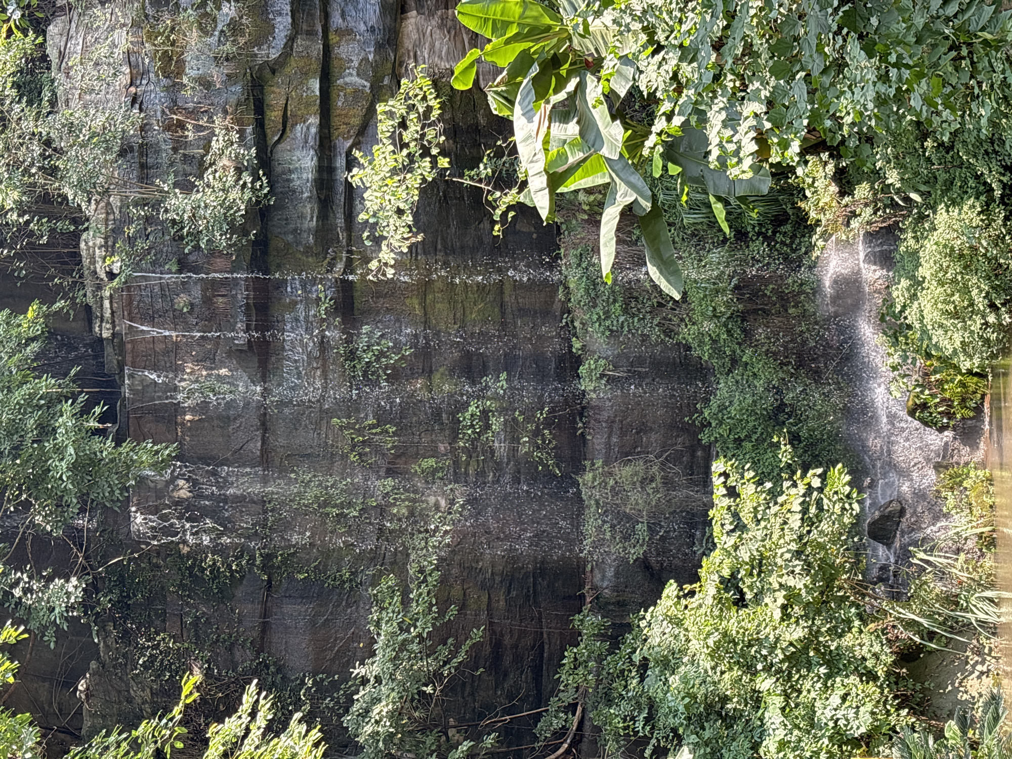 The image captures a serene natural landscape in Jiangjin, China, featuring a multi-tiered waterfall cascading down a weathered rock face. Lush green vegetation, including vines and large-leafed plants, thrives on and around the rocky outcrop, creating a vibrant, verdant scene. The water from the falls collects in a calm body of water at the base, reflecting the surrounding greenery. Sunlight filters through the foliage, illuminating parts of the scene and creating a dappled effect. The overall impression is one of natural beauty and tranquility, typical of a park or natural reserve setting within Jiangjin.