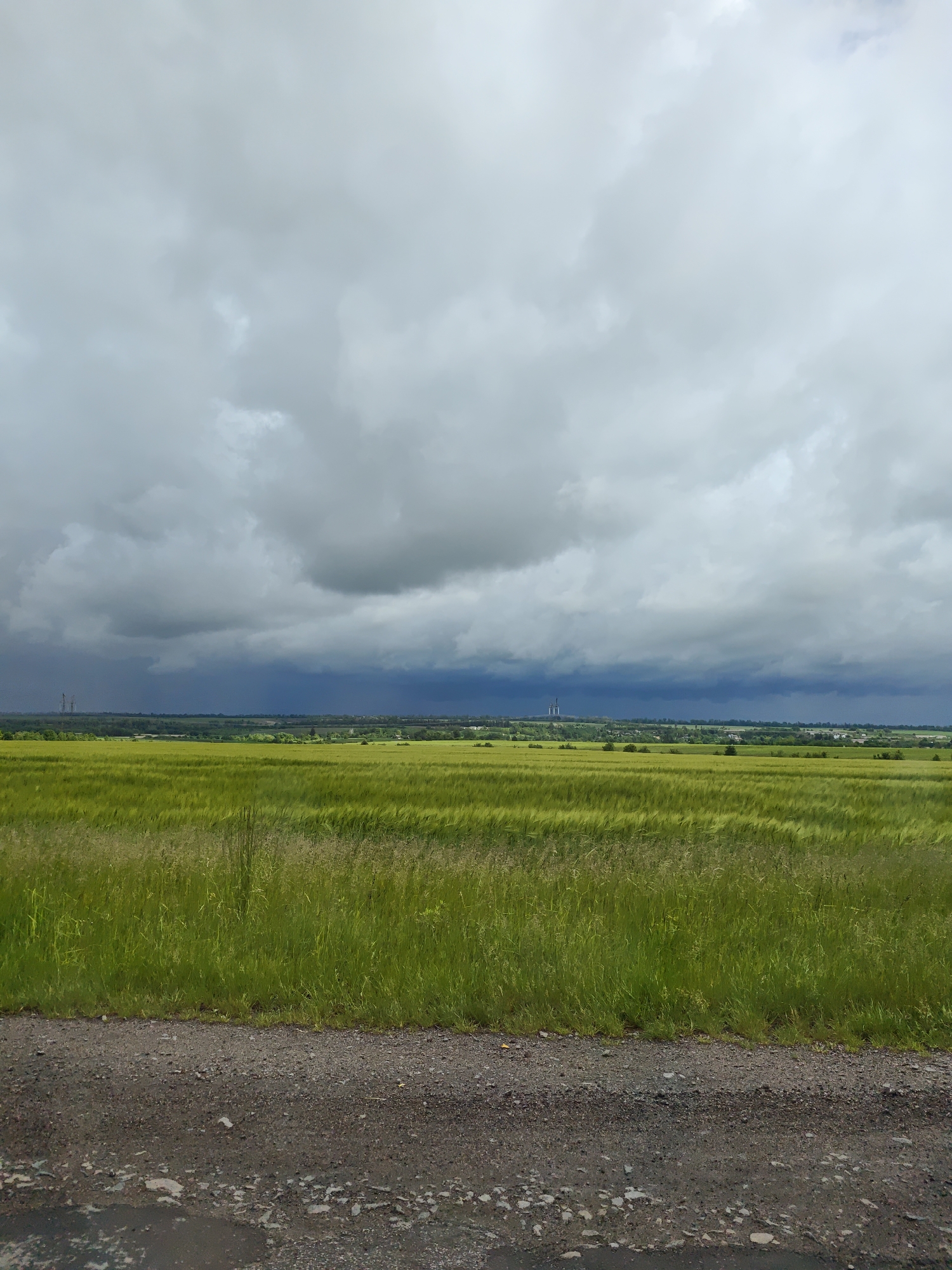 The image presents a landscape view in Zhornyshche, Ukraine, under a cloudy sky. A vast field of green crops occupies the majority of the frame, gently swaying as if in a breeze. In the distance, the skyline is punctuated by industrial structures, possibly power plant cooling towers. The foreground consists of a rough, gravelly surface. No people or animals are visible in the image. The overall environment suggests a rural setting adjacent to an industrial area.