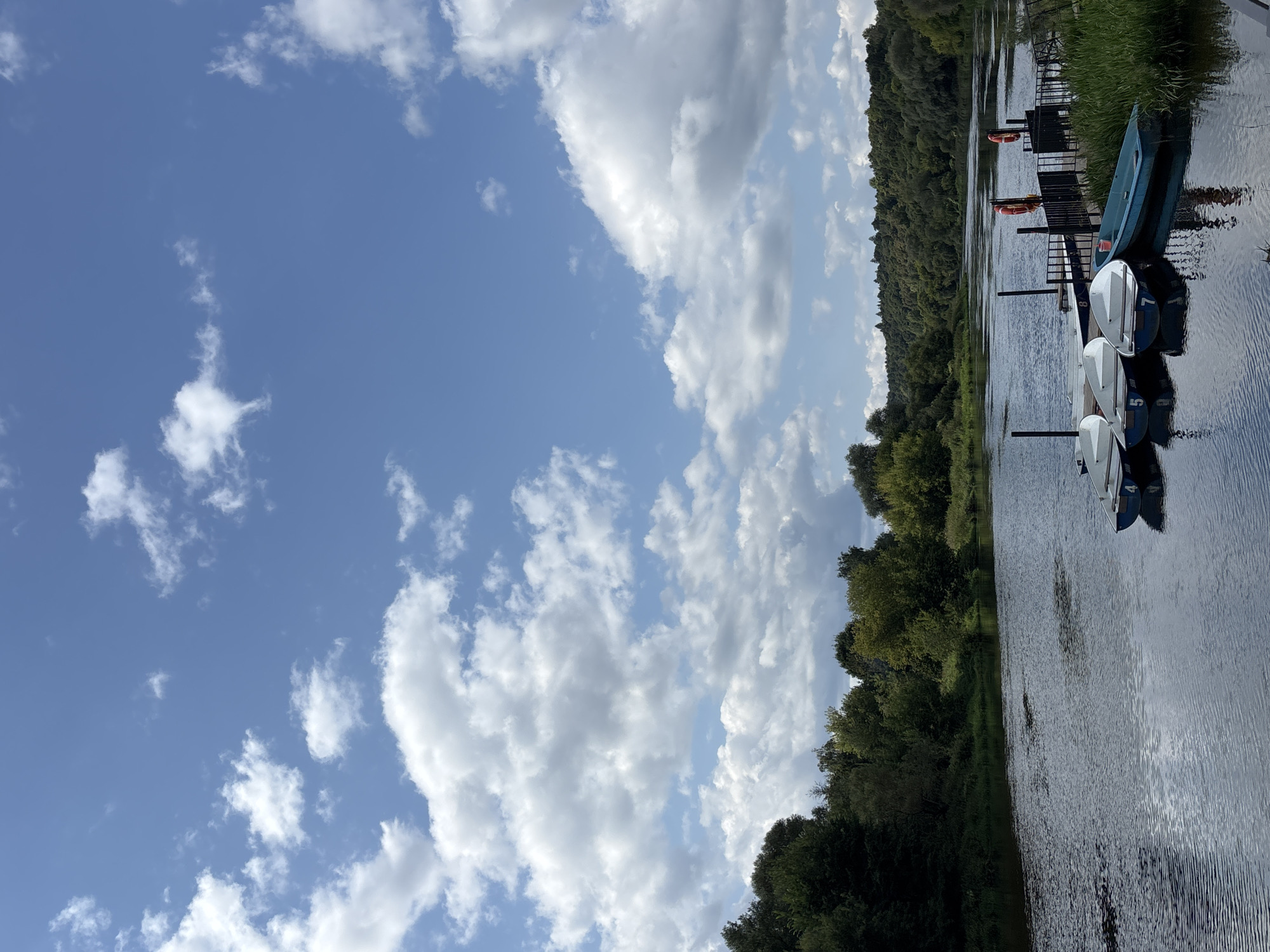 A body of water, likely a river, flows from left to right, bordered by a dense, green forest. A wooden pier extends into the water from the right side of the frame, and several small, white rowboats are docked there, some with numbers visible. A few orange life preservers are attached to the pier's railing. The sky above is a bright blue with scattered white clouds. The scene appears to be located in Zvenigorod, Russia, possibly a park or recreational area.