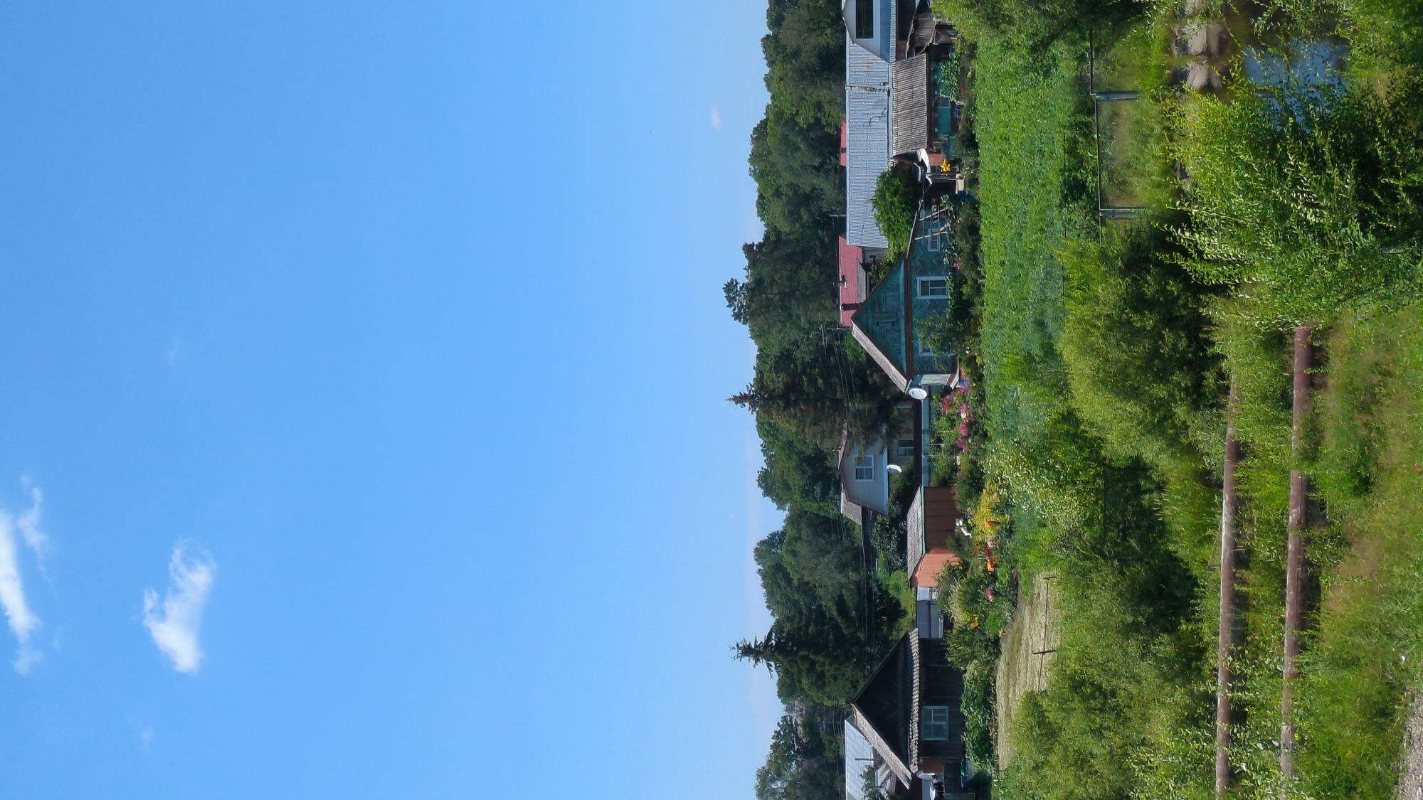 The image depicts a rural scene in the city of Khor, Russia, under a clear blue sky with a few wispy clouds. In the background, a line of trees forms a backdrop to a row of houses and outbuildings. The houses appear to be of various styles and ages, some with visible windows and roofs. In the foreground, lush green vegetation dominates, with dense bushes and tall grass covering the ground. Two large, rusty pipes run horizontally across the lower portion of the image, partially obscured by the foliage. The overall impression is one of a quiet, rural settlement surrounded by nature.