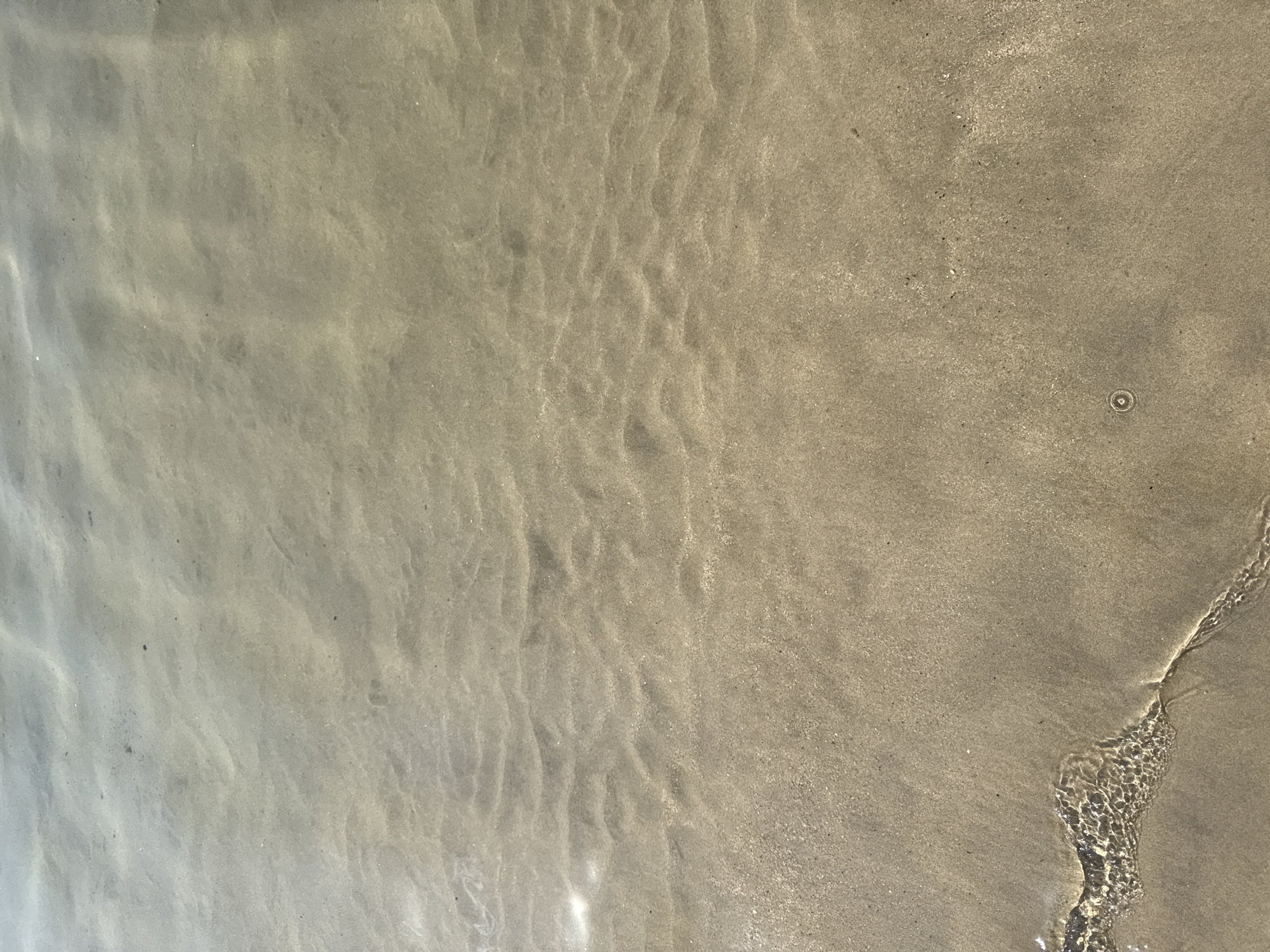 The image shows a close-up view of a sandy seabed under shallow, clear water. The sand is light brown and shows subtle ripples and undulations, indicative of gentle water movement. Sunlight refracts through the water, creating shimmering patterns on the sand. A small, circular bubble or object is visible on the sand in the lower right quadrant. The edge of a gentle wave is also visible in the lower left, with the water creating a textured, bubbly surface as it recedes. The overall environment is calm and natural, suggesting a shallow beach or seabed. This scene could be located along the coastline of Sanremo, Italy, where shallow, sandy beaches are common.