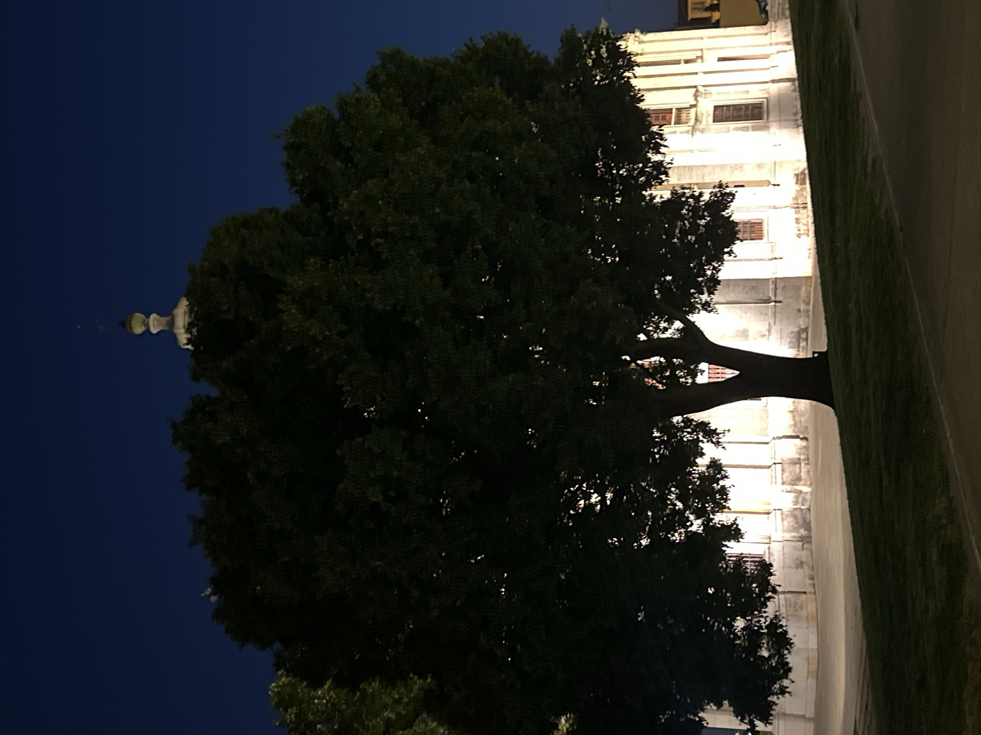 The image depicts a large, dense tree silhouetted against a dark blue night sky. Behind the tree, a brightly lit, multi-story building with numerous windows is visible. The building appears to be made of pale stone and is illuminated from within or by external lights, creating a warm glow. A small, ornate structure, possibly a spire or a decorative finial, is visible above the tree on the left side of the image. The foreground shows a strip of green grass and a paved pathway. The overall scene is tranquil and somewhat mysterious, with the darkness of the night contrasted by the illuminated building. The time of day is clearly night. The setting appears to be an urban or park area with a significant historical or architectural building. There is no visible text in the image.