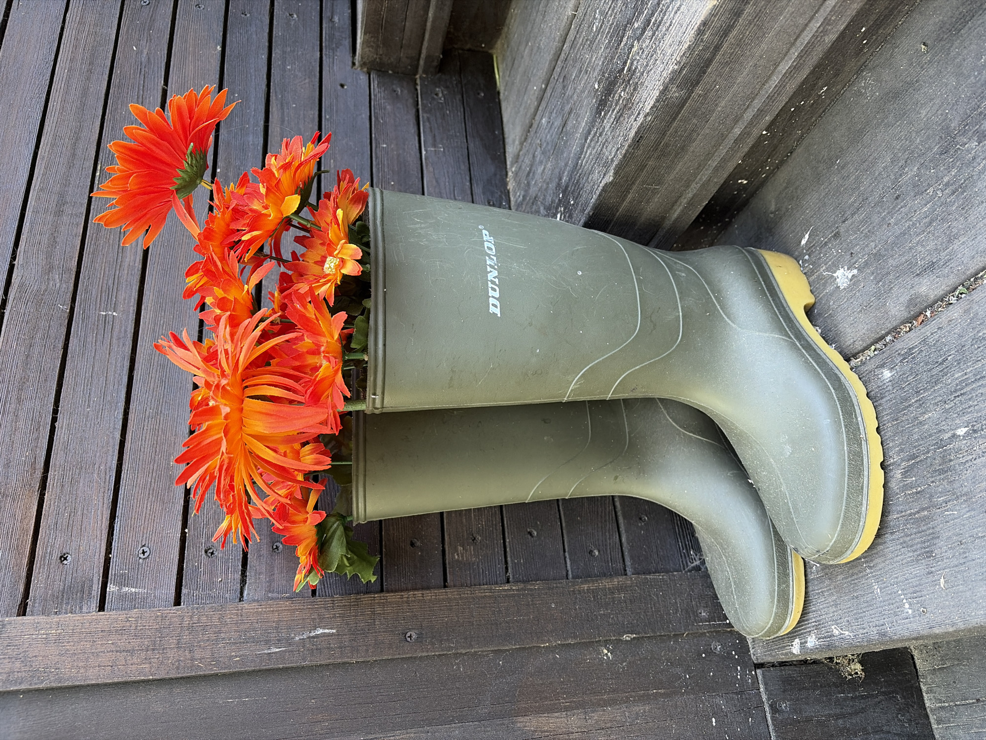 A top-down view shows a pair of green Dunlop wellington boots lying on a weathered wooden deck. The boots are placed on their sides, with the top of one boot pointing towards the left and the other towards the right, creating a V-shape. Bright orange and yellow artificial flowers are arranged inside the left boot, with some stems and leaves spilling out. The flowers are vibrant and appear to be made of fabric or plastic. The wooden deck planks are dark and have visible screws. The scene is lit by bright, natural light, suggesting it is daytime. There are some specks of white and debris scattered on the wooden surfaces. The background shows more wooden planks, possibly part of a porch or structure, with some texture and wear visible. The overall impression is a rustic and somewhat whimsical display, juxtaposing functional boots with decorative flowers. The visible text "DUNLOP" is printed in white on the side of the left boot.