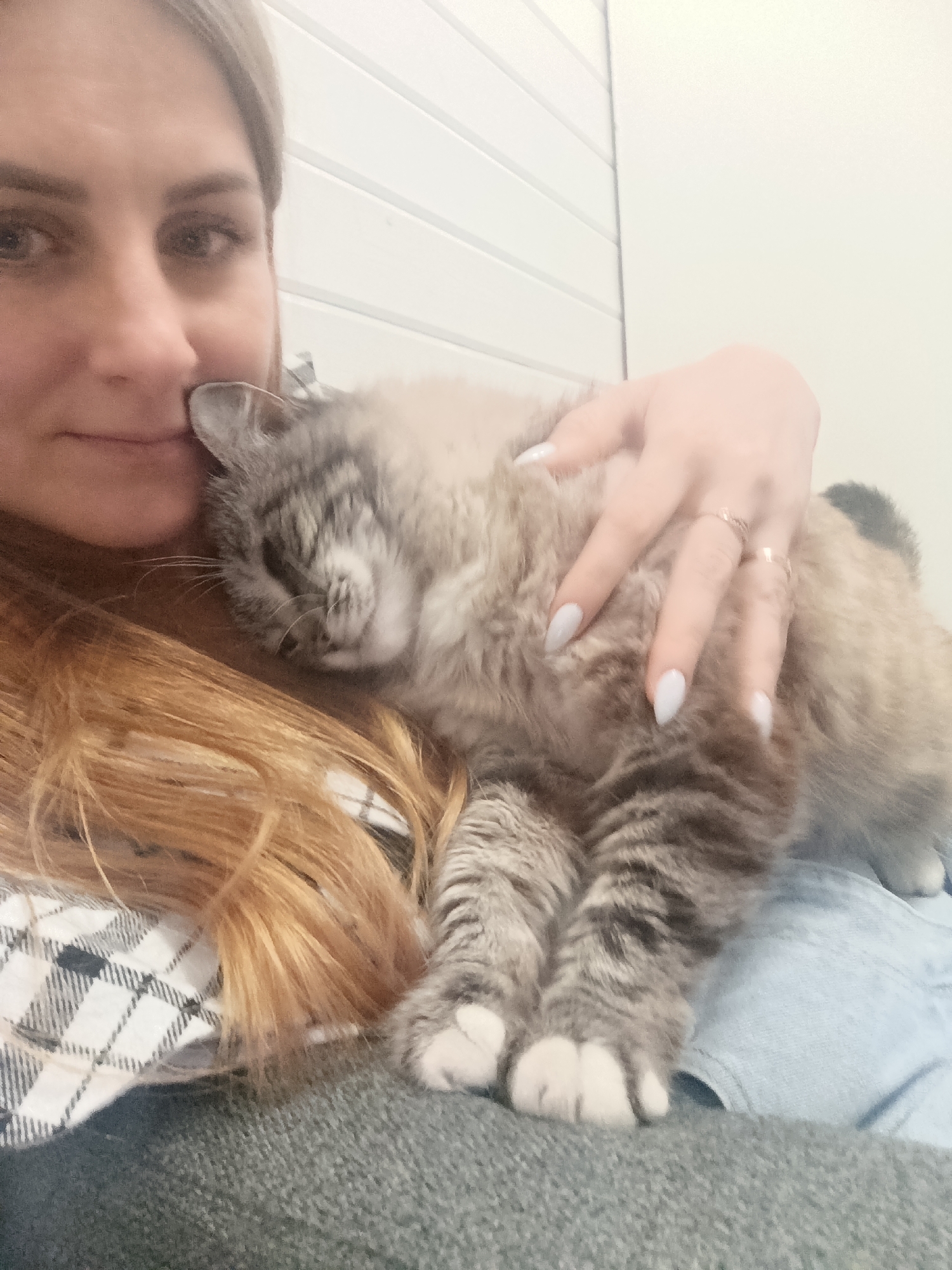 A young Caucasian woman with blonde hair and light skin is holding a light gray and white cat. The woman is looking at the camera with a slight smile. The cat is resting on her shoulder and appears to be asleep. The woman is wearing a black and white checkered shirt. The background is a white paneled wall. The image is taken from a close-up perspective.