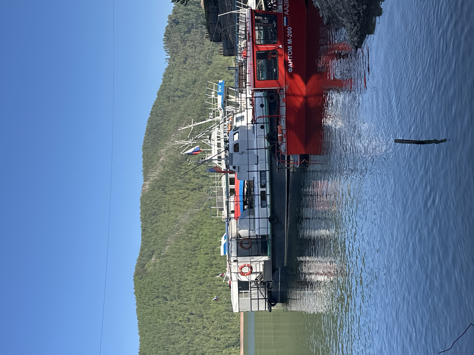 The image, oriented horizontally, depicts a serene waterfront scene under a clear blue sky. Several boats are docked along the shore of a calm body of water, likely a river or lake. In the background, a large, verdant mountain or hill covered in dense trees rises directly from the water's edge.
The most prominent vessel is a red boat on the right, featuring a pilot house with large windows and railings. Visible text on its hull reads "ФАНТОМ M-200" and "AA28". Adjacent to and partially behind the red boat, a white boat with a blue and white superstructure is docked, displaying a Russian flag at its stern. Further left, several other white boats are visible, equipped with lifebuoys and railings. The water reflects the boats and the sky, showing gentle ripples, and a small wooden stick or branch floats on the surface near a rocky bank on the far right.
The scene is set during bright daylight, suggesting clear and sunny weather. The boats are moored, implying a period of rest or waiting. No people are visible. The Cyrillic text on the boats points to a Russian-speaking location. The overall atmosphere is peaceful and calm.