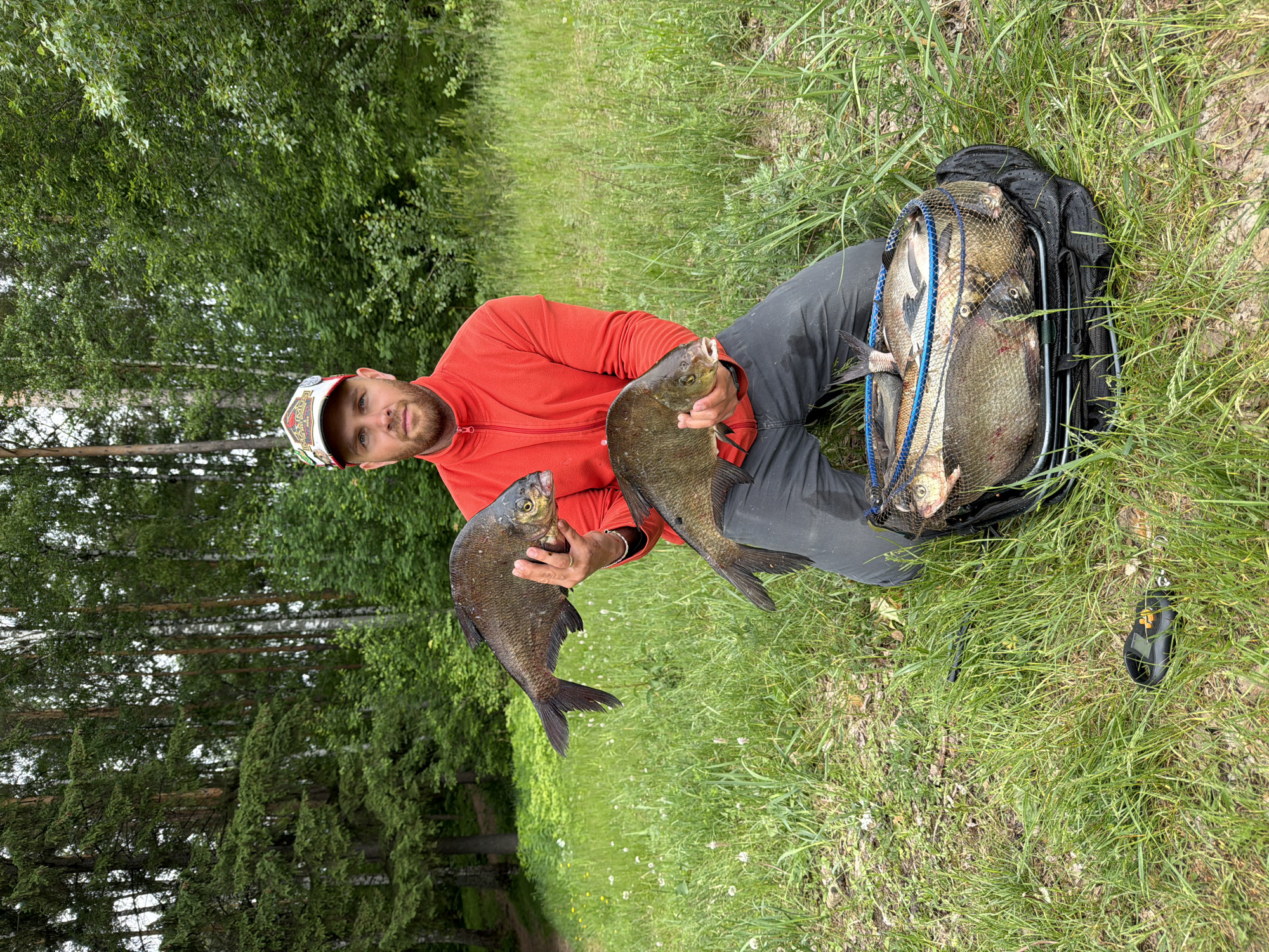 A male angler, appearing to be in his 30s to 40s with a beard and a content expression, is the central subject of this image. He is wearing a bright red long-sleeved fleece, dark pants, and a multi-colored baseball cap with various decorative elements and possibly text that is not clearly legible. He holds two large, dark-scaled fish, likely bream, one in each hand, presenting them towards the camera.
The man is seated on vibrant green grass, which is abundant in the foreground and midground, interspersed with small white wildflowers and dandelions. To his right, a black mesh fish basket (keepnet) is positioned on the grass, brimming with numerous other freshly caught fish, indicating a successful fishing trip. Near the basket, a black electronic scale with a distinctive orange symbol or button is visible on the grass, along with a smaller black object, possibly a fishing tool.
The setting is an outdoor natural environment, likely a forest edge or riverside bank in Chaikovsky, Russia. The background features a dense canopy of trees, including lighter green deciduous trees (such as birch) and darker green conifers, suggesting a diverse woodland. The lighting is bright and even, indicating daytime, possibly late morning or afternoon, under an overcast or partly cloudy sky, as there are no harsh shadows. The image captures the man's pride and enjoyment of his catch in a serene, natural environment.