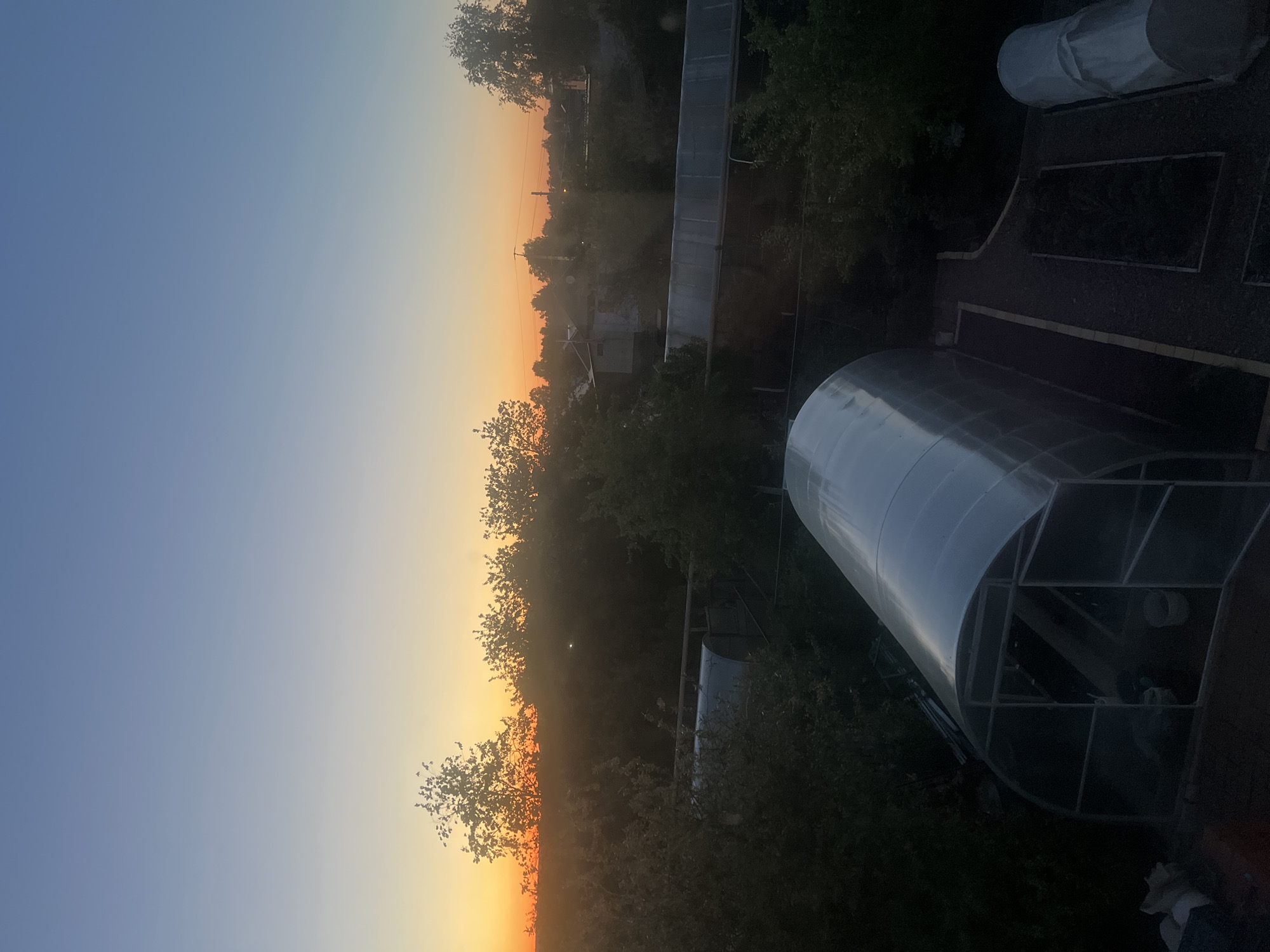 The image shows a view from what appears to be an elevated position in Votkinsk, Russia, likely a rooftop or upper-story window, looking towards the eastern horizon at sunrise or sunset. The sky transitions from a clear blue to orange/yellow near the horizon. Silhouetted trees and buildings line the horizon, obscuring details of the cityscape. Closer to the viewer are gardens with multiple greenhouses, the largest being a curved, plastic-covered structure. A white, covered object is also visible in the foreground. The scene appears peaceful and quiet, captured during a moment of early morning or late evening light.