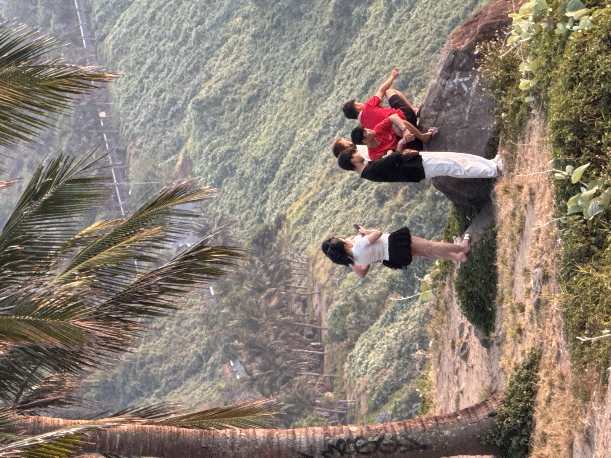 The image, rotated 90 degrees clockwise, captures a scenic overlook in Đà Nẵng, Vietnam, featuring a group of people enjoying the mountainous, verdant landscape.
In the foreground, a large palm tree trunk with some indistinct black graffiti (possibly "MOGO") stretches across the bottom of the frame, with its green fronds partially visible on the left side, obscuring parts of the background.
A group of people is situated on a large, weathered rock serving as a viewpoint. This rock also bears some white graffiti, including a discernible "K." Three men are visible on the rock: two are wearing red t-shirts and dark shorts, appearing to be resting or interacting, while another man wears a black shirt and white trousers. Slightly further along the rock, a woman in a white t-shirt and black skirt is standing, holding a mobile phone, seemingly capturing photos or videos of the surroundings.
The background is dominated by rolling, densely forested green hills and mountains, suggesting a lush, natural environment. A faint road or pathway with white markings can be seen winding through the distant terrain. The scene unfolds under clear daytime conditions, indicating pleasant weather for outdoor activities like sightseeing or hiking. The people appear relaxed, enjoying the panoramic view from the elevated position.