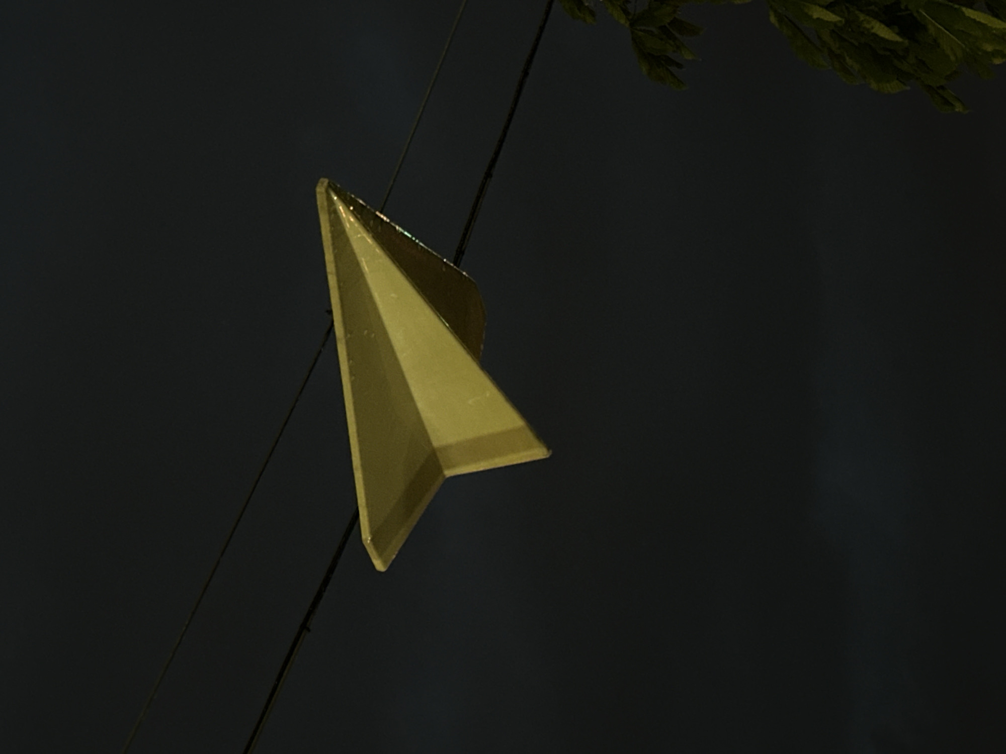 The image depicts a yellow, triangular, metallic object suspended from a dark cable against a dark background. Some foliage is visible in the upper right corner. The location and time are unknown.