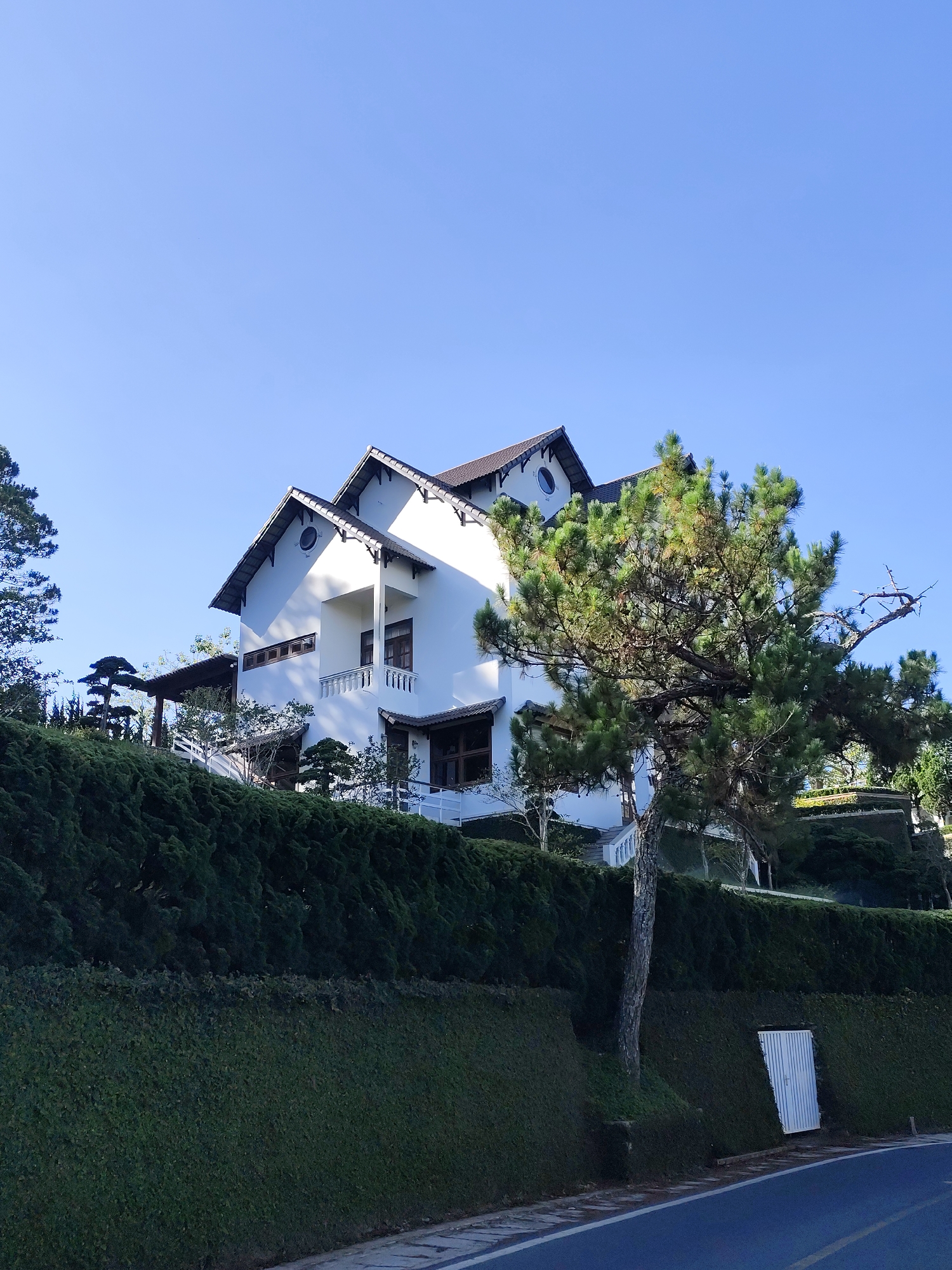 A bright, sunny day frames a striking architectural scene in Da Lat, Vietnam. A multi-story white building with dark trim and a peaked roof commands attention. A distinctive circular window is visible on one of the upper levels. A sprawling evergreen tree partially obscures the view of the building, adding a touch of nature to the composition. The building is set above a dense, manicured green hedge. At the base of the hedge, a white door is visible. A dark asphalt road with yellow markings runs along the bottom of the frame.