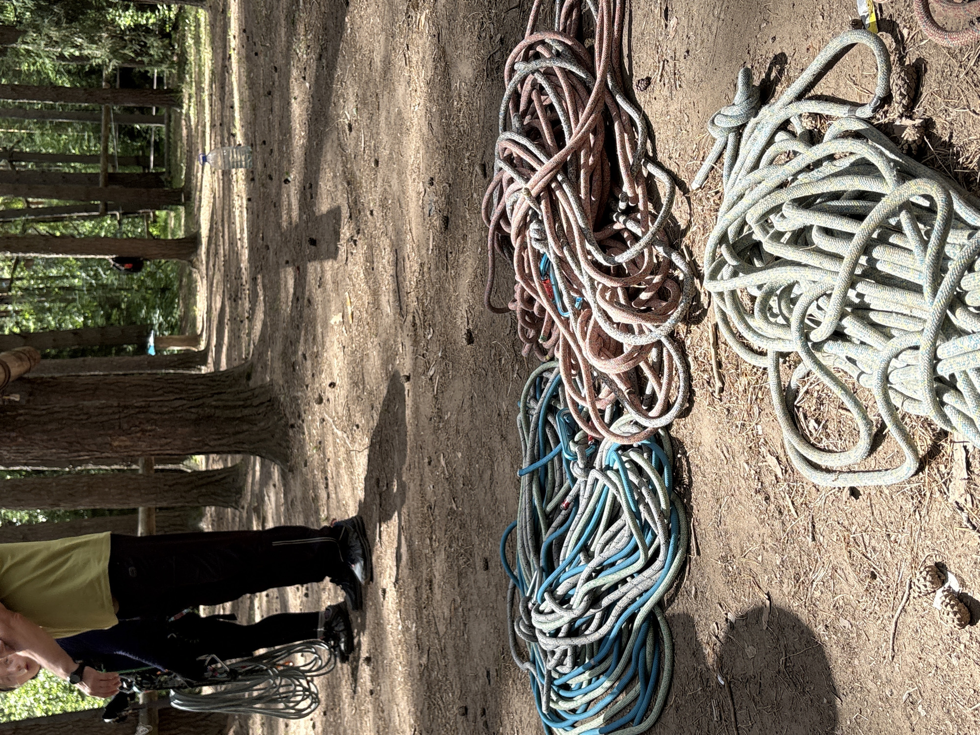The media file shows a group of people in a wooded area with several coils of climbing rope. The scene is outdoors, likely in a park or forest, with tall trees and a dirt ground covered in fallen leaves and pinecones. The lighting suggests it is daytime, possibly late afternoon, with strong shadows cast by the trees and people.
In the foreground, a person wearing a light green t-shirt and dark pants is partially visible, appearing to be either preparing for or finishing an activity involving the ropes. They are wearing climbing gear, including a harness. Another person is also visible further back, with their legs and lower body in view.
Several coiled ropes are laid out on the ground. One large coil is a mix of pinkish-brown and gray strands. Next to it is another coil of blue and gray rope. Further to the right, a larger coil of light gray rope with blue and yellow flecks is also visible. Some carabiners and a small blue object, possibly a carabiner or a tag, are also present within the ropes.
In the background, more trees are visible, and some wooden structures that could be part of an obstacle course or climbing setup. The overall impression is of a location set up for outdoor recreational activities, likely climbing or rope-based challenges. There are no visible text elements in the image.
