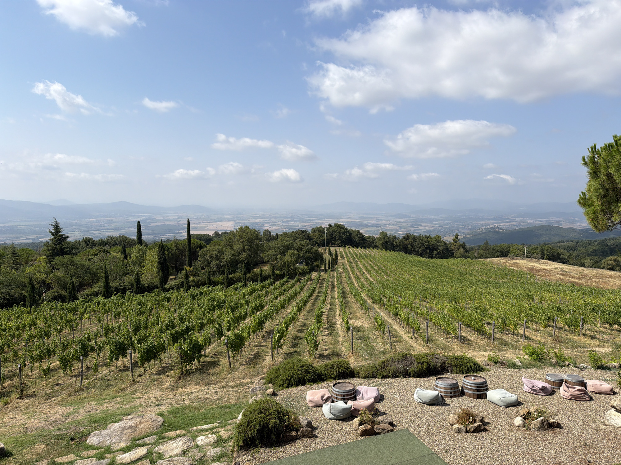 The image depicts a scenic view of a vineyard in Sassofortino, Italy, on a clear day with scattered white clouds. The vineyard is characterized by neatly arranged rows of green grapevines stretching across a gentle slope. In the foreground, a seating area is set up with several large, light-colored beanbag chairs and two wine barrels placed on a gravel surface. A few small rocks and patches of dry grass are interspersed among the seating. Beyond the vineyard, a rolling landscape unfolds, with more greenery and distant hills fading into a hazy horizon. The overall impression is one of tranquility and the natural beauty of the Italian countryside.