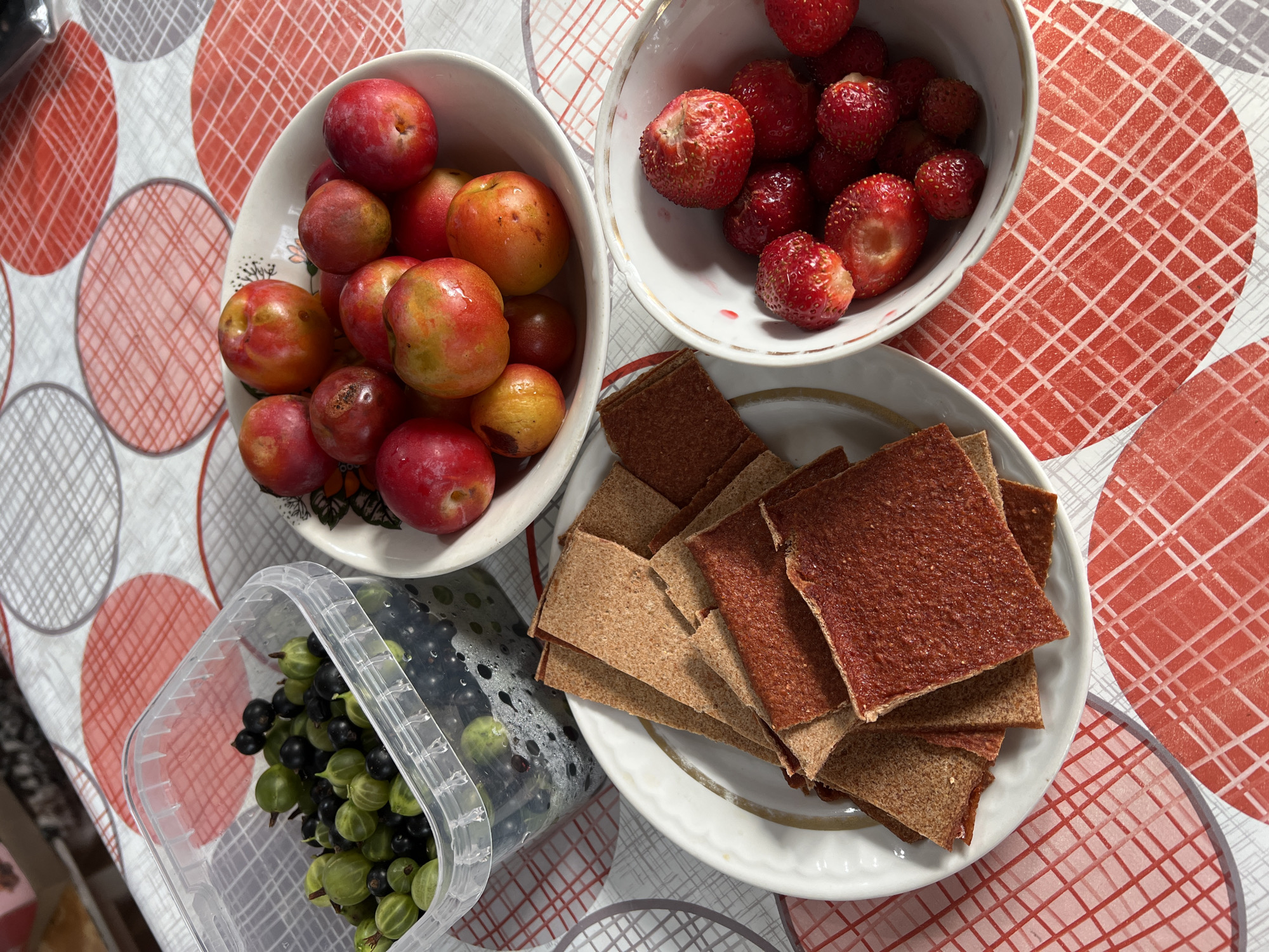 A high-angle, close-up, medium shot captures a collection of fruits and fruit leather on a red and white checkered tablecloth in Pivkino, Russia. In the top left, a clear plastic container is filled with fresh gooseberries and blackcurrants. To its right, a white bowl overflows with ripe plums, displaying a mix of red and yellow hues. In the foreground, a white plate holds a stack of fruit leather, cut into square pieces of varying shades of red and brown. To the right of the fruit leather, another white bowl contains several ripe strawberries. The lighting is natural, casting soft shadows on the fruits and tablecloth.
