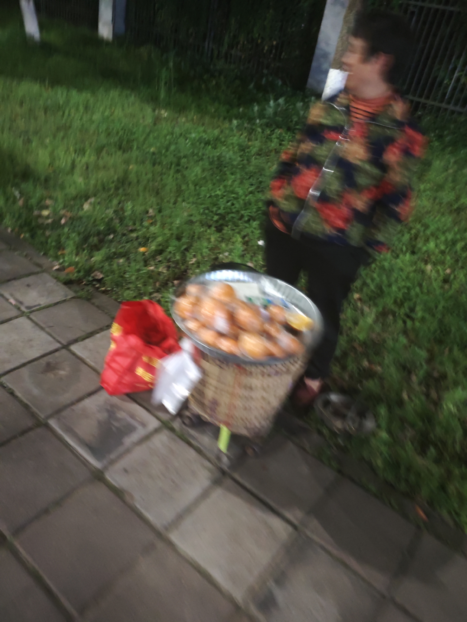 A blurred photograph depicts a woman standing next to a street vendor's cart in what appears to be Shapingba District, China. The woman has dark hair and is wearing a patterned jacket and dark pants. The cart holds a large tray filled with what appears to be round, orange-colored food items, possibly fruits or pastries. A red plastic bag is placed next to the cart on a paved surface. Grass and foliage surround the paved area. A fence is visible in the background. The image is blurred.