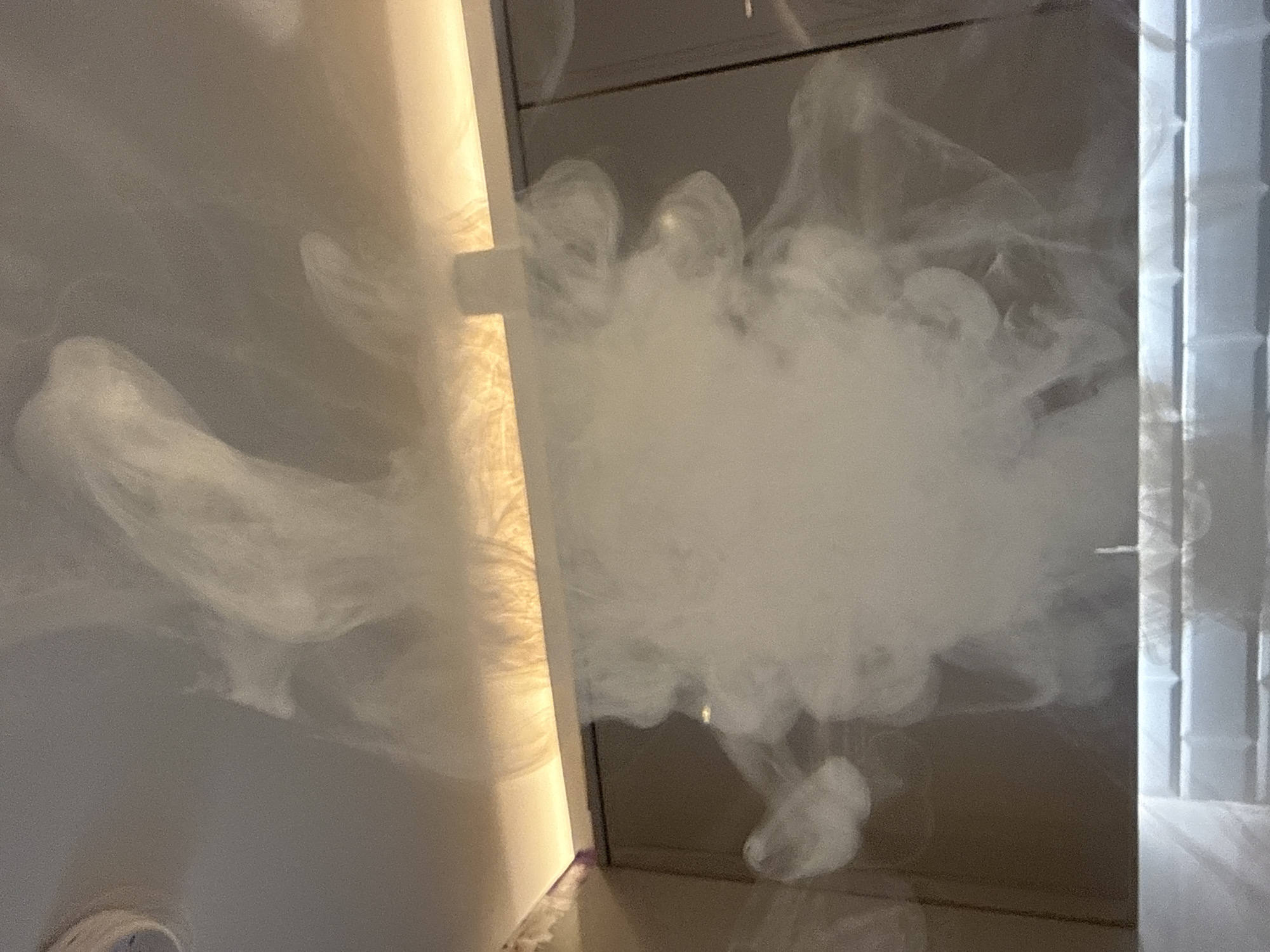 The image shows a close-up, abstract view of white smoke or vapor dispersing from a gap or opening. The smoke extends from the left side of the frame towards the right, partially obscuring the view behind it. There are some hard vertical lines that can be seen towards the right as well. The exact location cannot be determined from the provided image.