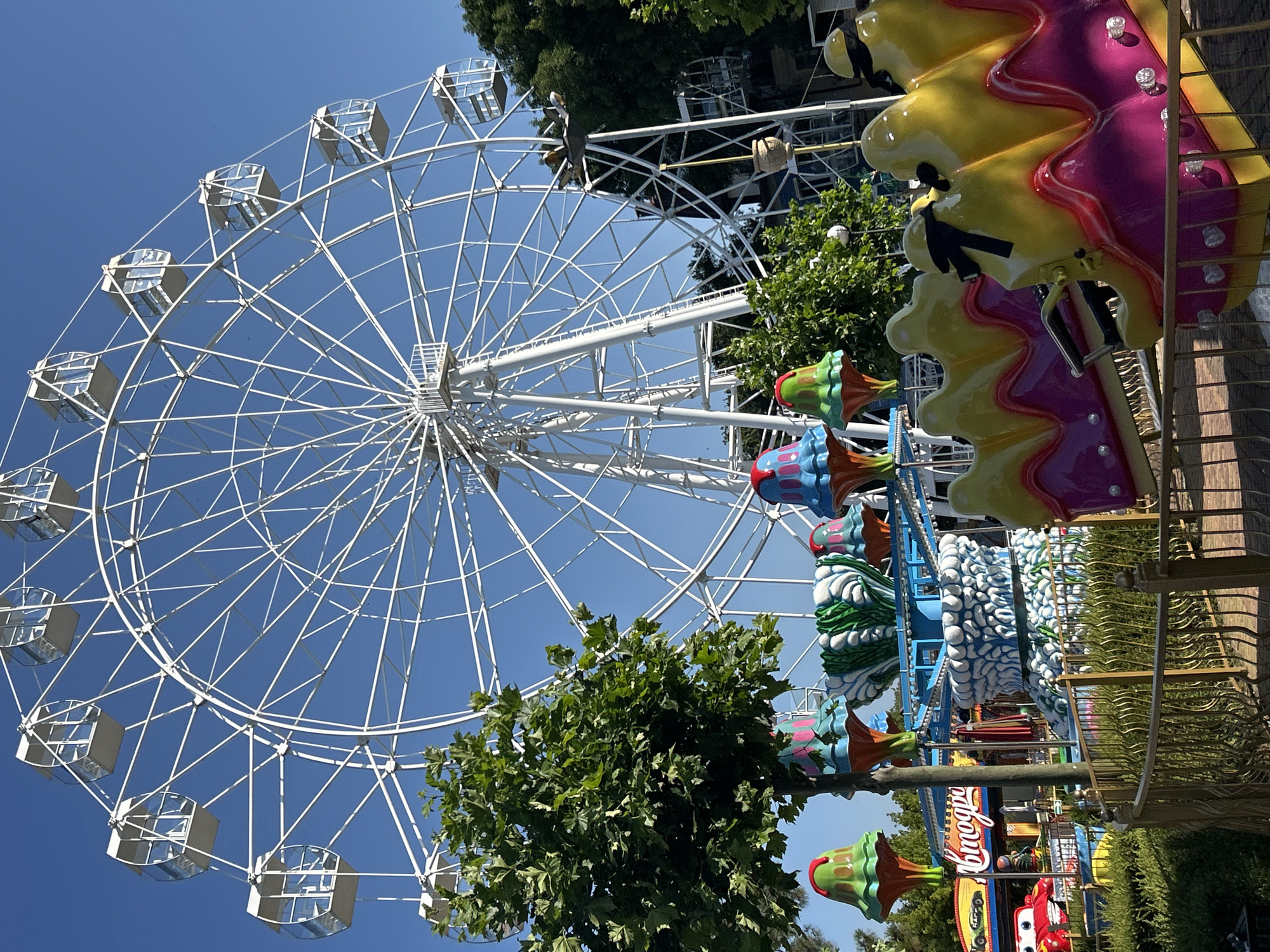 This is a vertical, eye-level, medium shot of an amusement park in Gelendzhik, Russia. The dominant subject is a large white Ferris wheel in the background, its intricate metal structure stretching across the bright blue sky. In the foreground, a colorful children's amusement ride with yellow and pink seats, adorned with black ribbons, is partially visible. To the left, another ride features cone-shaped structures in green, blue, and pink. Behind these rides, lush green trees and a glimpse of a building can be seen. The ground is covered with manicured green bushes and a metal fence. The scene is bathed in sunlight, indicating a clear, possibly warm day. No people are clearly visible, but the presence of amusement rides suggests a public recreational area. The overall impression is one of a cheerful and lively attraction.