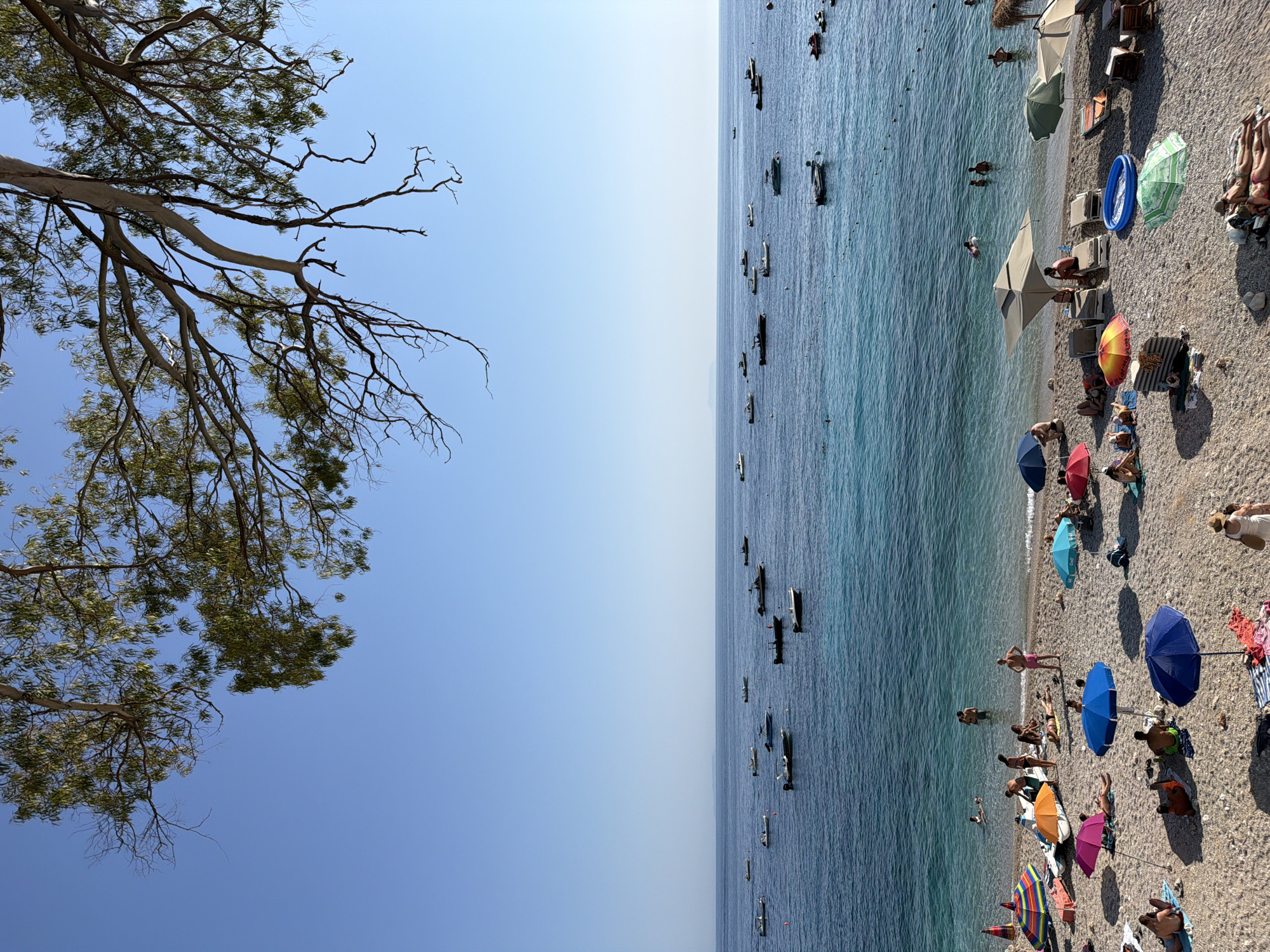 The image depicts a crowded beach scene in Himarë, Albania. A clear blue sky dominates the upper portion of the frame, with the branches and leaves of a large tree extending from the top left corner. The sea, a vibrant turquoise and deep blue, occupies the middle ground, dotted with numerous small boats. The beach itself, covered in pebbles, is filled with people sunbathing, swimming, and relaxing under colorful umbrellas. Lounge chairs and towels are scattered across the sand. Several individuals are visible in the water, some swimming and others wading. The overall atmosphere is one of a busy, sunny day at the beach.