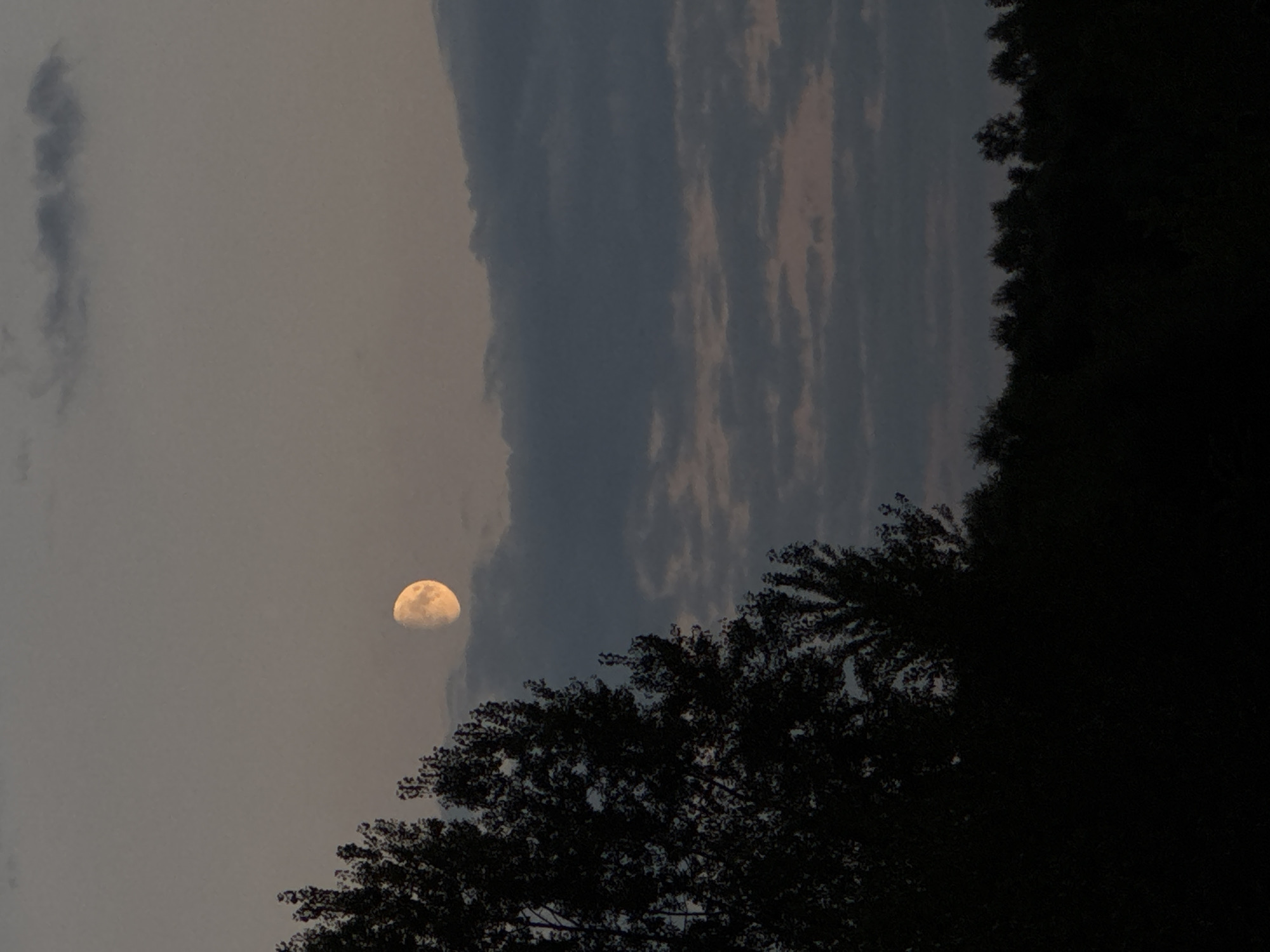 The image depicts a twilight sky over a forested area. A crescent moon, illuminated with a warm, yellowish-orange glow, is visible in the upper right quadrant of the sky, partially obscured by dark, wispy clouds. The sky transitions from a pale grey near the horizon to a deeper dusky hue above. In the foreground and left side of the image, silhouetted trees with dense foliage create a dark, textured border against the sky. The lower portion of the image shows a dark, indistinct line of trees or a dense treeline. No people or specific landmarks are discernible. The scene appears to be a natural landscape at dusk, with no indications of urban environment or specific location within Ufa, Russia.