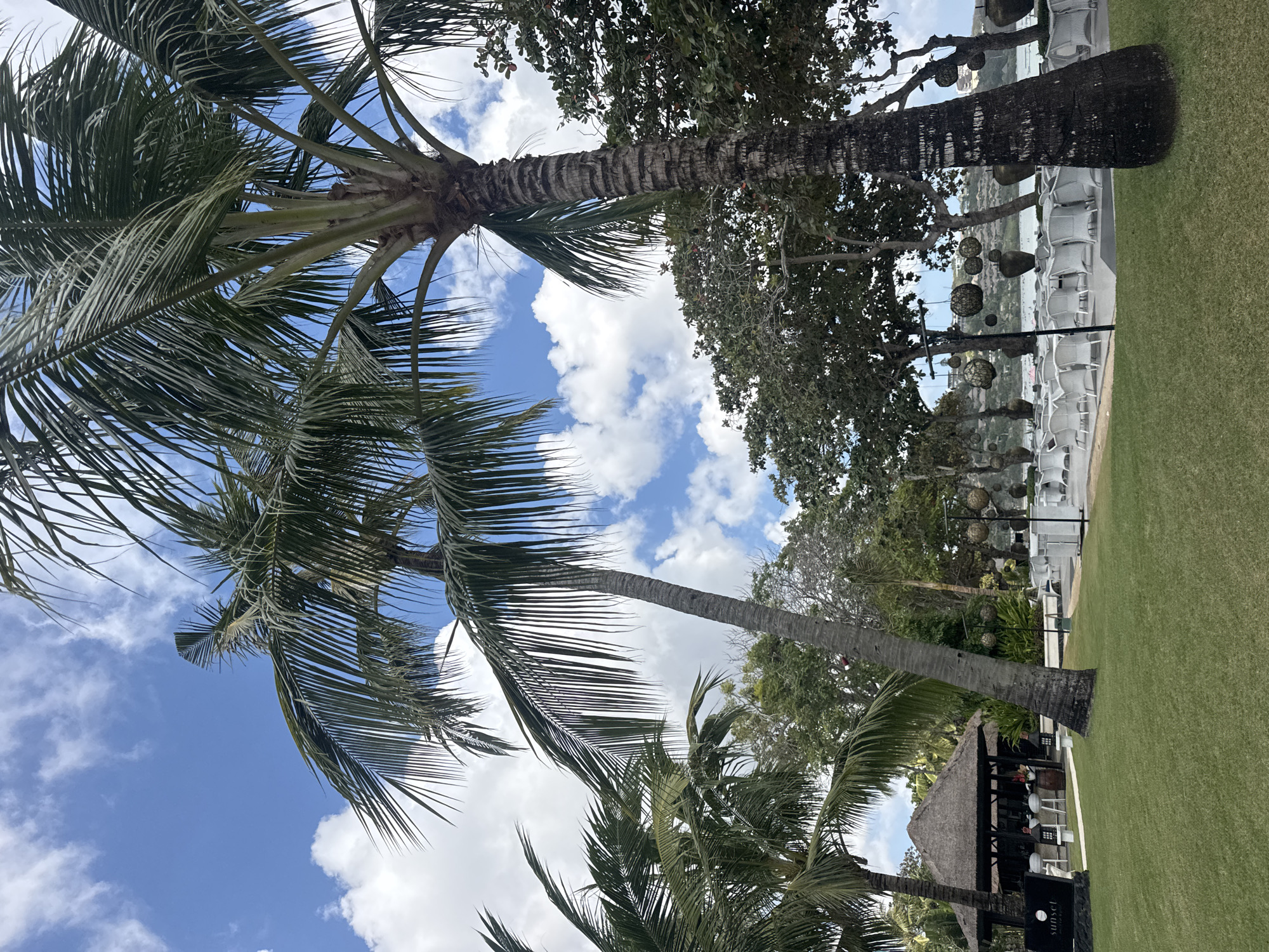The image depicts an outdoor seating area of a resort or restaurant in Kuta Selatan, Indonesia, likely at a beachside location. The scene is dominated by lush greenery, with several tall palm trees framing the view and a well-maintained lawn in the foreground. In the background, there is a body of water, possibly the ocean, with some landmasses visible in the distance.
To the left, a thatched-roof hut, likely a bar or reception area, is visible with some patrons seated at high stools. A sign with the word "sunset" is prominently displayed in front of the hut. Further into the scene, rows of white tables and chairs are arranged on a paved area, suggesting a dining or event space. Large, decorative spherical objects are hung from trees, adding to the ambiance. The sky is a clear blue with scattered white clouds, indicative of pleasant weather. The overall impression is one of a tropical, relaxing setting designed for outdoor leisure and dining.