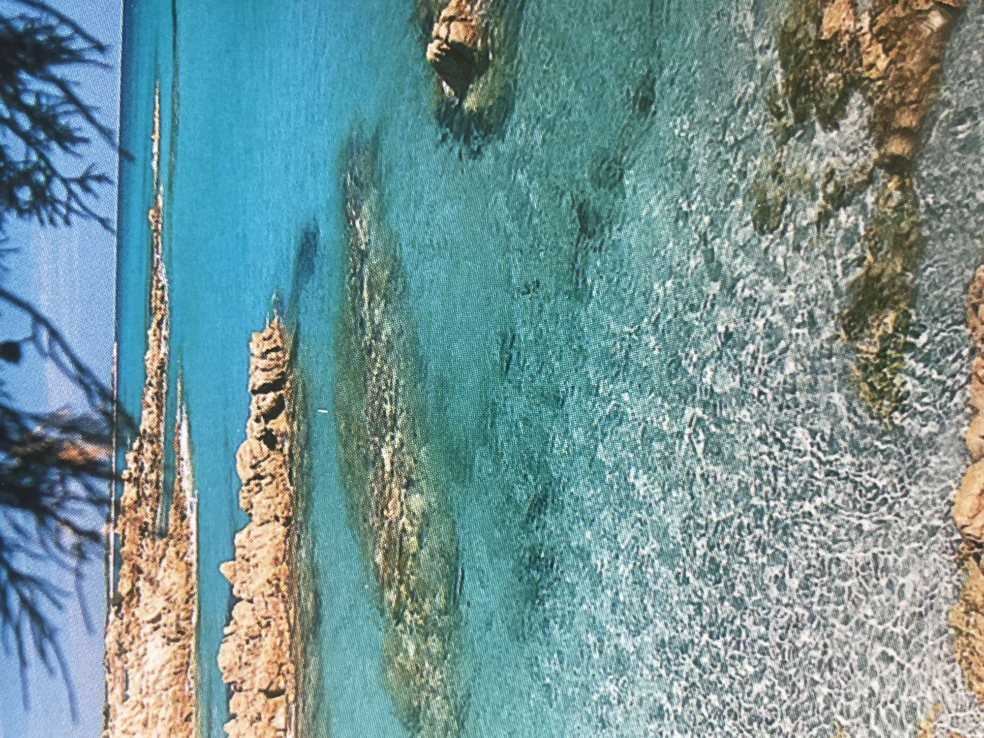 This image depicts a clear, turquoise ocean with rocky outcrops and underwater formations. The foreground shows shallow water with visible seabed textures and reflections of sunlight. In the mid-ground, submerged rocks and formations create interesting patterns in the water. The background features larger rocky islands or coastlines with the horizon line of the ocean meeting the sky. Some tree branches, out of focus and dark, cast shadows on the top of the image. The scene is devoid of people or any man-made structures, presenting a natural coastal environment. The location is not in Sofia, Bulgaria, but appears to be a seaside or island location.