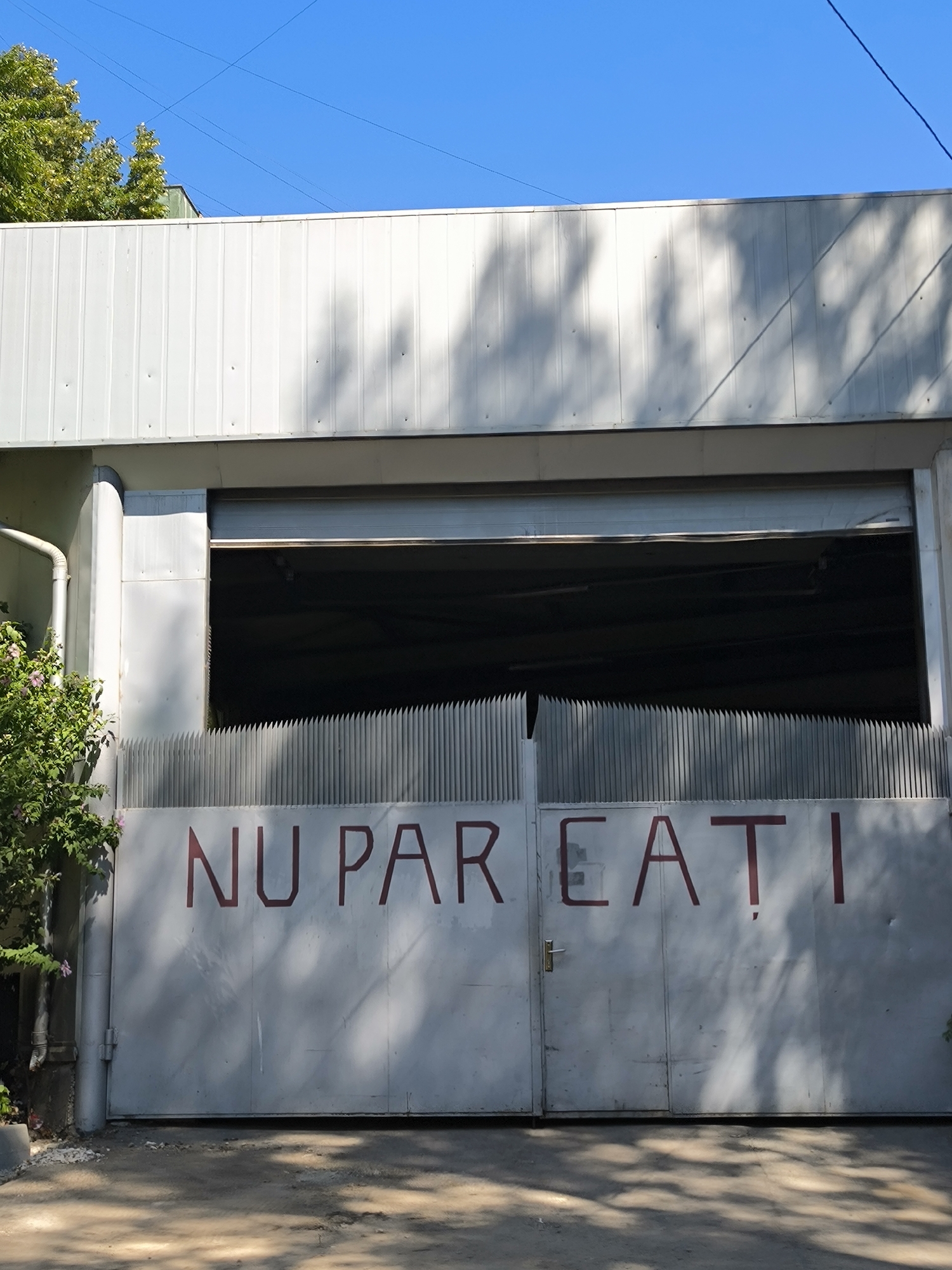 This is a full-shot, eye-level, exterior, medium-distance photograph taken on a sunny day, showing a large, industrial-style metal gate in Chișinău, Moldova. The gate is light grey and appears to be made of two sections, with a single vertical seam down the middle. Red, blocky lettering is painted across the gate, spelling out "NU PARCAȚI". This phrase is Romanian for "Do not park."
Above the gate, there is a partially open, grey roll-up door leading into a dark interior, likely a garage or industrial space. The building exterior is made of corrugated metal panels, painted white. Shadows of tree leaves and branches are cast across the building and the gate, indicating the presence of foliage nearby. To the left of the gate, a small bush with pink flowers and green leaves is visible, along with a white downspout. The ground in front of the gate is asphalt or concrete, with some loose gravel and debris. The sky is a clear, bright blue with some power lines visible in the upper portion of the image. The scene depicts a functional entrance to a property, with a clear directive against parking.