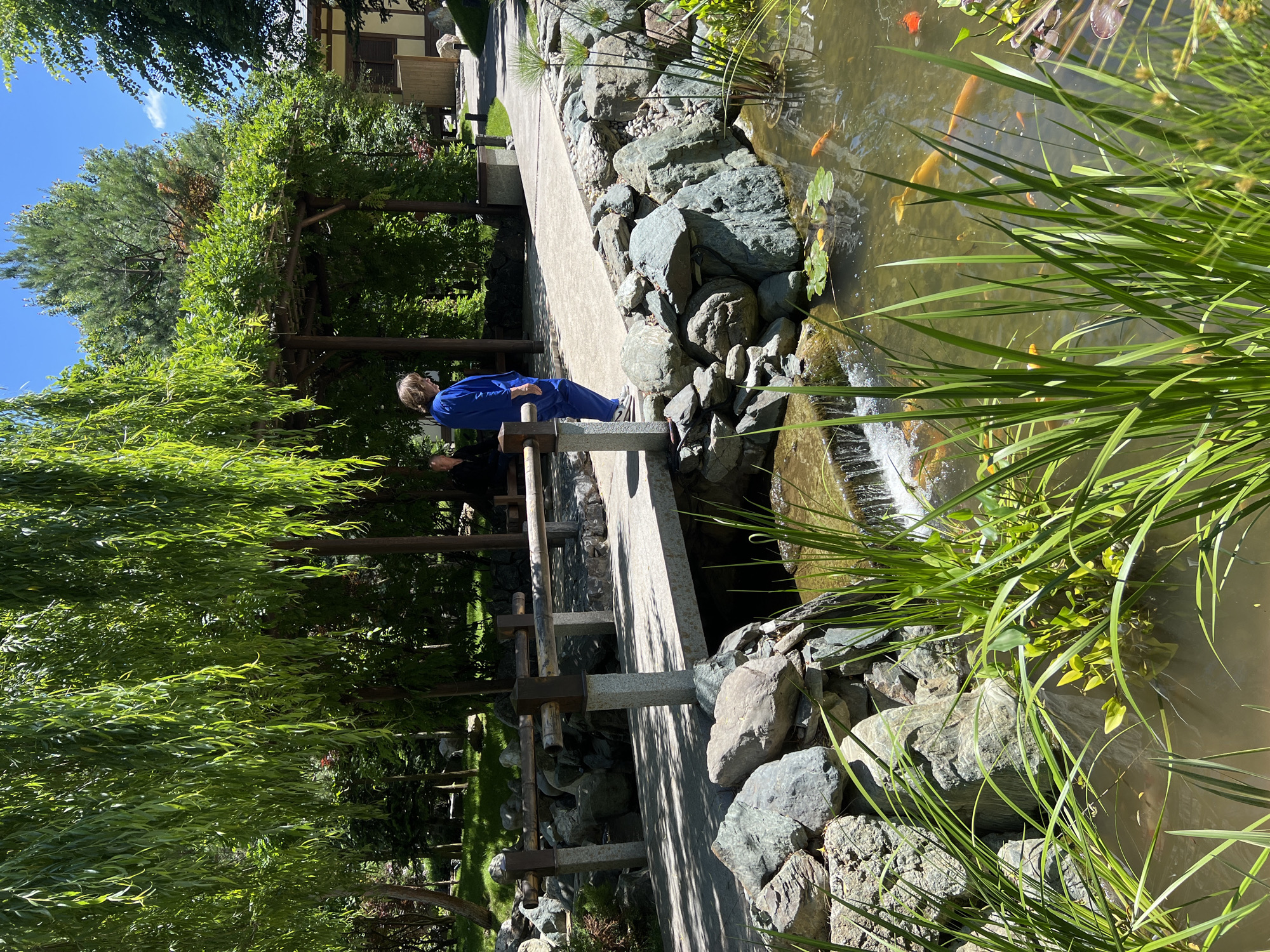 The image, rotated counter-clockwise, captures a serene Japanese-style garden in Krasnodar, Russia, under clear, bright daylight. A narrow, flat wooden bridge, supported by stone pillars and featuring simple wooden railings, spans a tranquil pond or stream.
On the bridge, two individuals are present. One person, dressed in a bright blue top and pants, leans over the railing, looking down into the water. Their back is largely to the viewer, but their posture suggests keen observation. A second person, wearing a dark top, stands nearby, partially obscured.
The water body is a central feature, teeming with several orange and golden koi fish. Its edges are lined with various sizes of natural rocks and lush green vegetation, including lily pads and tall, reedy grasses growing both in and around the water. A small, gently cascading waterfall is visible where the water flows from one section to another.
The garden environment is rich with diverse greenery. On the left, elegant willow trees with their distinctive drooping branches create a soft, verdant curtain. Other leafy trees and shrubs contribute to the dense foliage, some growing over wooden pergolas or arbors visible in the mid-ground. The bright blue sky, with only a few wispy clouds, indicates sunny weather, casting distinct shadows on the bridge and rocks. The overall scene conveys a sense of peaceful natural beauty and calm. No text is visible in the image.