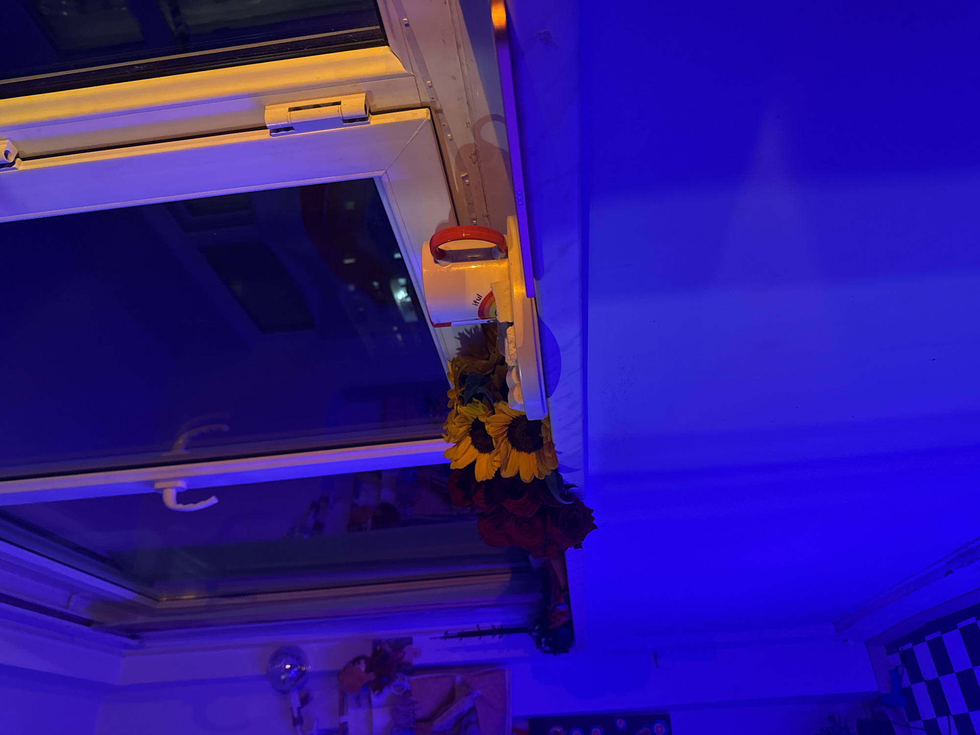 The image depicts an interior scene, potentially within a residence in Yerevan, Armenia, given the local cultural artifact present. A white-framed window dominates the left side, likely allowing a view of the outside. A mug with a rainbow and the word "Beautiful" printed on it hangs from the window frame. Below the mug, a garland of yellow sunflowers and red roses is visible. The right side is filled with a blue wall, illuminated with blue and purple lighting, casting an unnatural hue over the scene. Below the window, there are glimpses of various objects and posters. A checkered pattern is present on a wall.