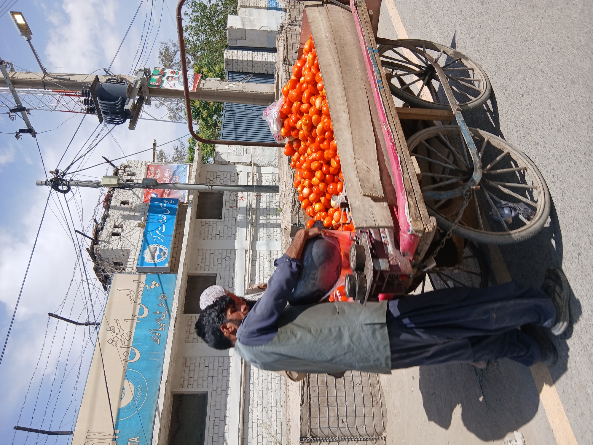 An outdoor, brightly lit street scene captures a vendor standing beside a wooden pushcart laden with a large, vibrant pile of fresh red tomatoes. The vendor, a man with a beard and wearing a white skullcap (kufi), a dark blue shirt, and a light-colored waistcoat over dark pants, is seen holding a dark object, possibly a weighing scale or a bag, as he attends to his goods.
The cart has two large, spoked wooden wheels and casts distinct shadows on the asphalt road, indicating bright sunshine. In the background, simple brick buildings line the street, some appearing to be partially constructed or worn. Overhead, a dense network of utility wires crisscrosses multiple concrete poles, which also support electrical transformers, a street light, and various banners.
Visible text on a large blue banner attached to a building reads "ڈسٹرکٹ کونسل" (District Council), followed by "پشاور" (Peshawar) and "یونین کونسل" (Union Council), all in Urdu script. Another smaller blue sign on a building displays "پولیس" (Police) along with an emblem. A political banner featuring faces and more Urdu script is also visible high on a utility pole. The sky is clear and blue, completing the daytime setting. The scene depicts a common commercial activity in an urban environment in Quetta City Tehsil, Pakistan.