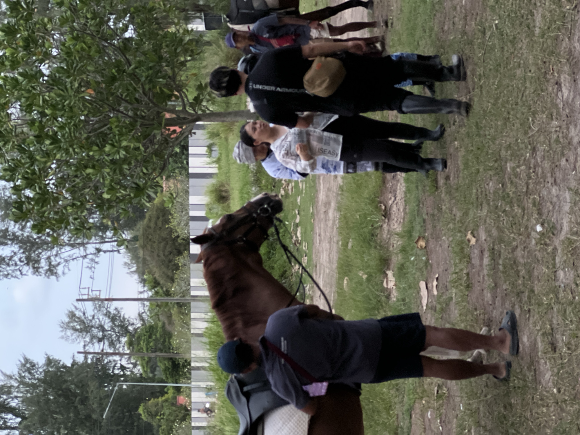 A group of people stand around a saddled brown horse in an outdoor, grassy area with trees in the background. A man in a dark blue shirt and shorts stands facing the horse, with a red strap across his chest. A woman in a checkered shirt and black pants talks to a man in a black t-shirt with "UNDER ARMOUR" printed on it, who has a tan messenger bag slung across his body. Another man in a blue cap and a red shirt is visible to the right. The ground is covered in grass and dirt, with some scattered leaves. In the background, a white fence and more trees are visible under an overcast sky.