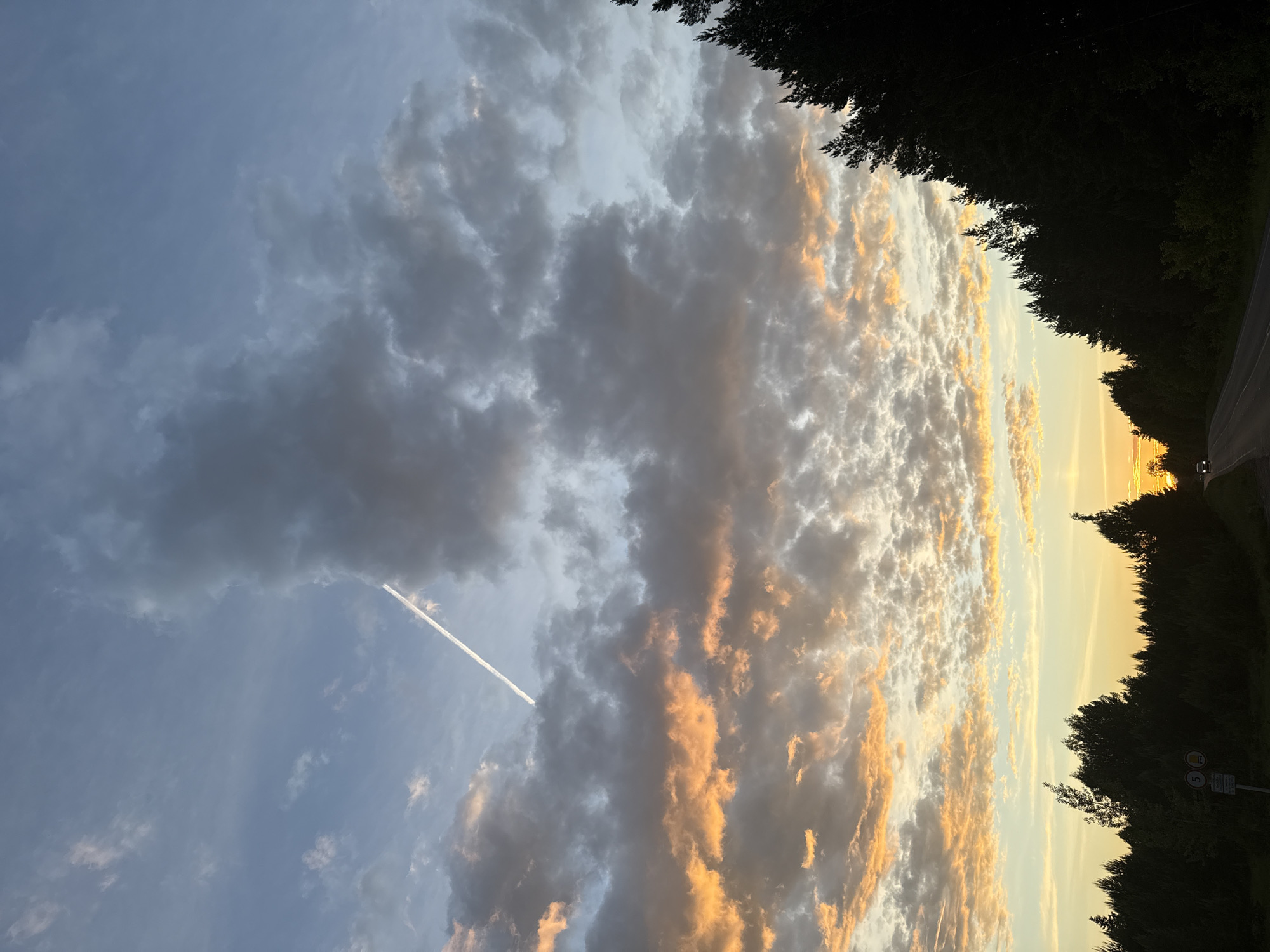 The image, correctly oriented, captures a dramatic sunset or sunrise sky above a tree-lined road. The sky dominates the frame, filled with extensive cloud formations. Dark grey clouds occupy the upper and mid-portions, contrasting with vibrant golden and orange-hued clouds stretching across the mid-ground towards the horizon on the right. Patches of lighter blue sky are visible in the upper left, where a single white airplane contrail diagonally streaks across.
A dense line of dark trees, appearing as silhouettes, runs along the right side of the frame, forming a clear boundary against the brightly illuminated horizon. A narrow asphalt road is visible at the very bottom right, curving slightly into the distance. A faint outline of a vehicle, possibly with headlights, can be seen on the road in the far distance. Next to the road, partially obscured by the trees, a white road sign is visible. It features a circular symbol, likely a speed limit sign, possibly displaying "5" or "50", with additional unreadable text below it.
The scene conveys a serene, late-day or early-morning atmosphere, highlighting the striking interplay of light and shadow on the clouds and the silhouetted natural elements against the warm, radiant glow of the sun. The setting appears to be a rural or semi-rural area.