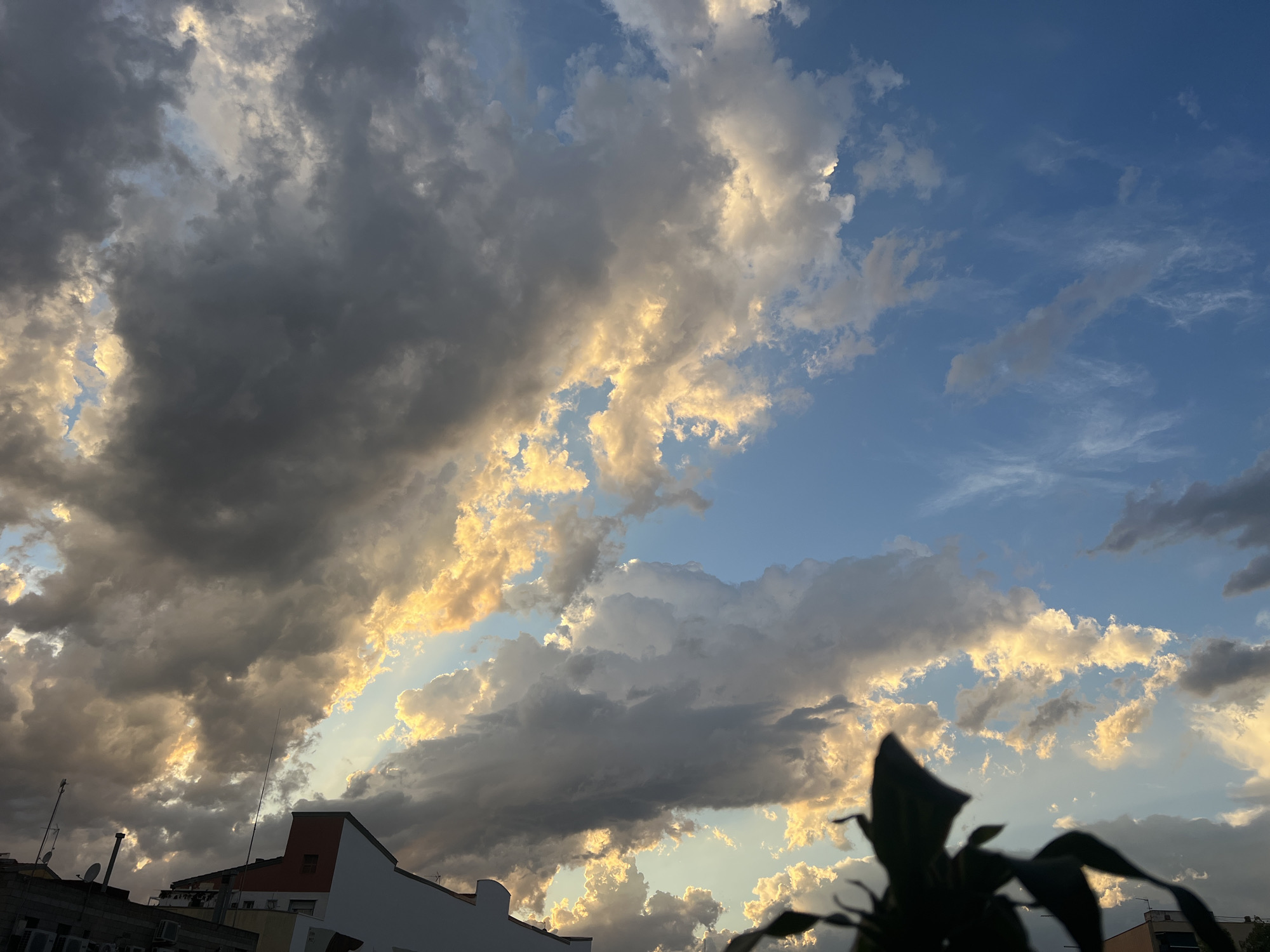 The image captures a dramatic sky over Mollet del Vallès, Spain, featuring a mix of dark, storm-laden clouds and brighter, sunlit clouds tinged with yellow and orange hues. The setting appears to be late afternoon or early evening, given the warm light illuminating the clouds.
In the lower portion of the image, the rooftops of buildings are visible, suggesting an urban or suburban environment. A white building with a red section and antennas is prominent on the left, alongside other structures. A dark silhouette of plant leaves is in the foreground on the right, obscuring a portion of the view.
The sky is the dominant element, with a clear blue sky visible in between the cloud formations. The interplay of light and shadow on the clouds creates a sense of depth and texture, hinting at impending or passing weather. There are no people or animals visible in the scene. The overall impression is one of a dynamic sky over a residential area.