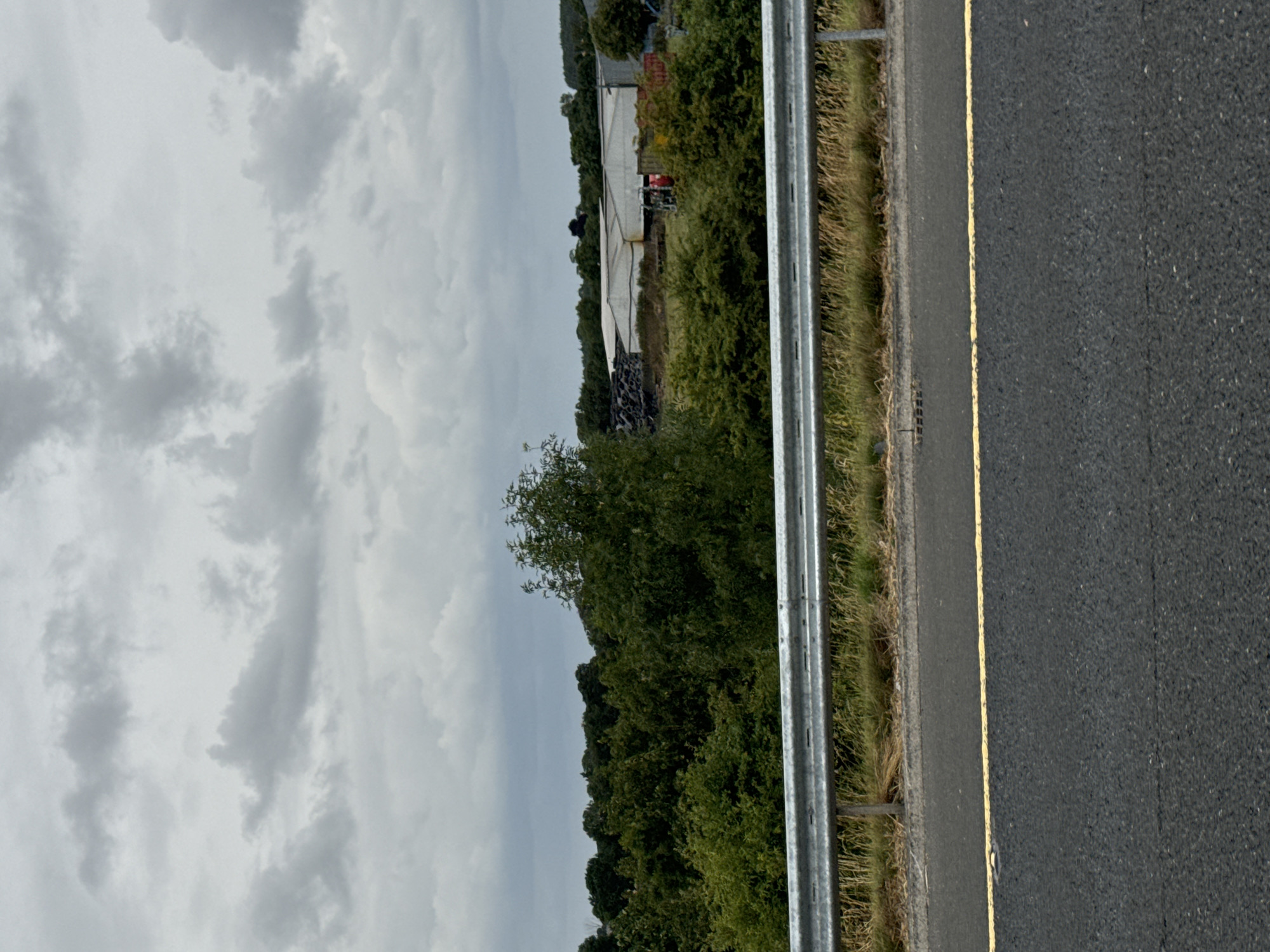 An overcast sky fills the top half of the image, with a mix of light and dark gray clouds. Below the clouds, a band of dense green trees stretches across the horizon. In the middle ground, a cluster of buildings with white roofs and gray walls is visible, surrounded by vegetation. A large pile of black material, possibly tires, is situated to the left of the buildings. A silver guardrail runs horizontally across the lower portion of the image, separating a paved road with a yellow line from a grassy embankment. The road surface is dark gray asphalt. The scene appears to be a rural or semi-rural industrial area, possibly located near Coolavash, Ireland, given the information provided.