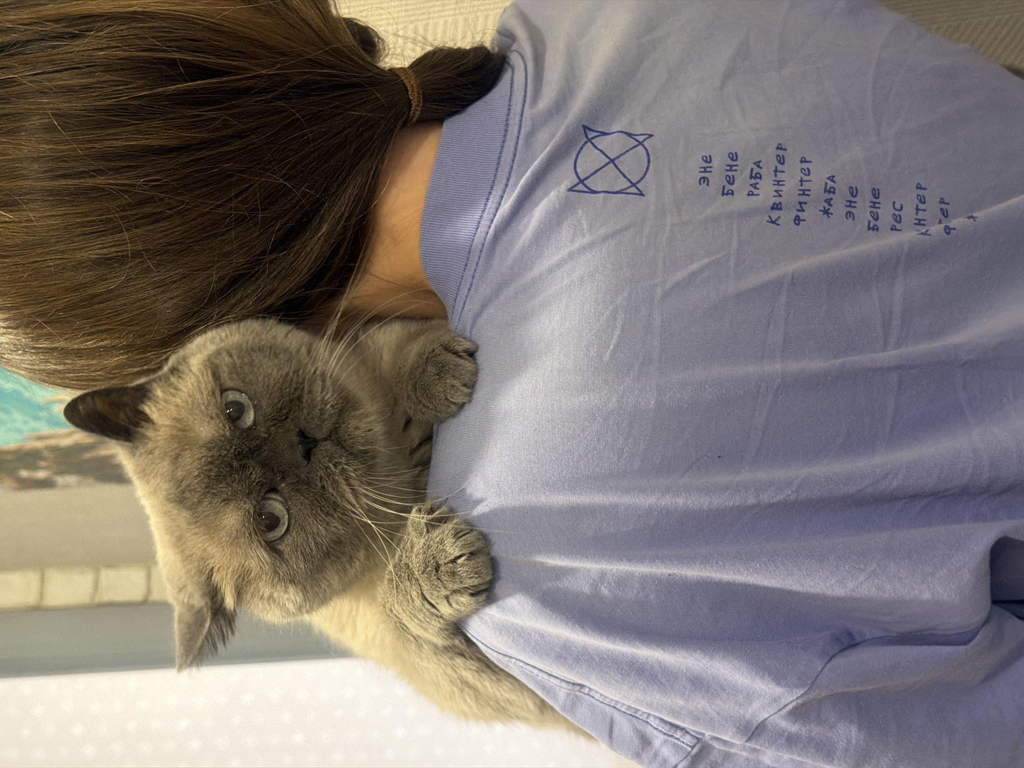 A person with dark hair pulled back into a ponytail is seen from the back, wearing a light purple t-shirt, with a gray cat clinging to their shoulder. The cat's face is visible, showing its eyes and whiskers. The shirt has a circular symbol with two triangles intersecting in the center, along with vertical text in Russian that includes the words "эне" (ene), "бене" (bene), "раба" (raba), "квинтер" (kvinter), "жаба" (zhaba), "рес" (res), and "кнтер" (knter). The environment appears to be indoors. There is no confirmation that this image was taken in Rostov-on-Don, Russia.