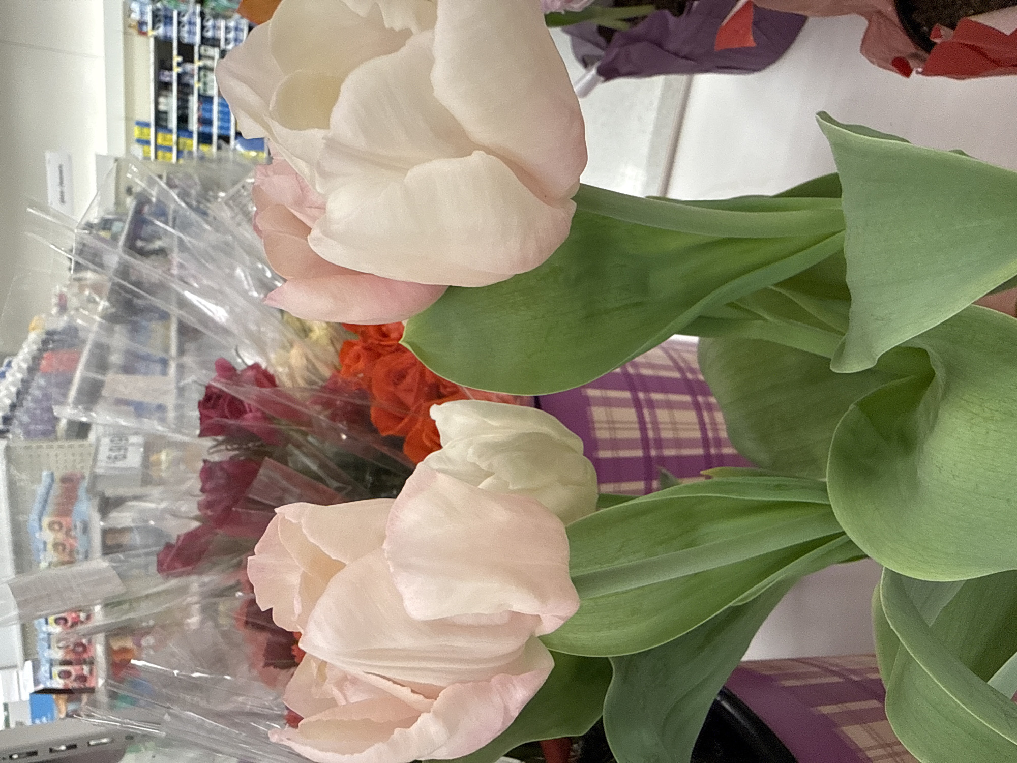 The image features a bouquet of light pink tulips with lush green leaves. The bouquet is wrapped in clear plastic, and there are other red and orange flowers mixed in. The background shows a store shelf stocked with various products, indicating the flowers are likely being sold in a retail environment. The plaid-patterned surface beneath the tulips suggests the image was taken while the flowers rested on a table or surface with this pattern. It's impossible to determine a specific location in Columbus, Ohio, from the image alone.
