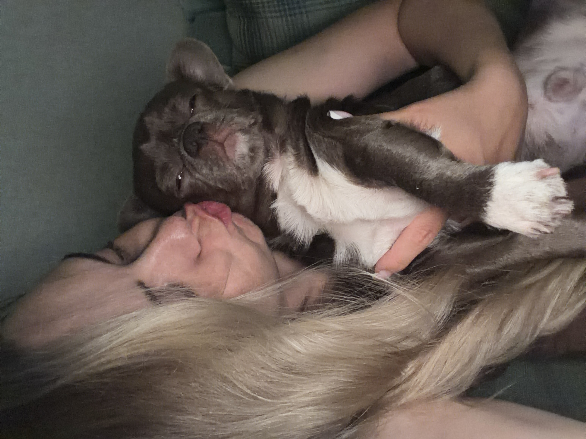 A gray and white dog is lying on a woman. The woman is lying on her back, with her blond hair spread out beneath her head. The dog is resting on the woman's chest and upper arm. The dog is positioned so its head is near the woman's mouth. The background is a muted green color. The location is not discernible from the image.
