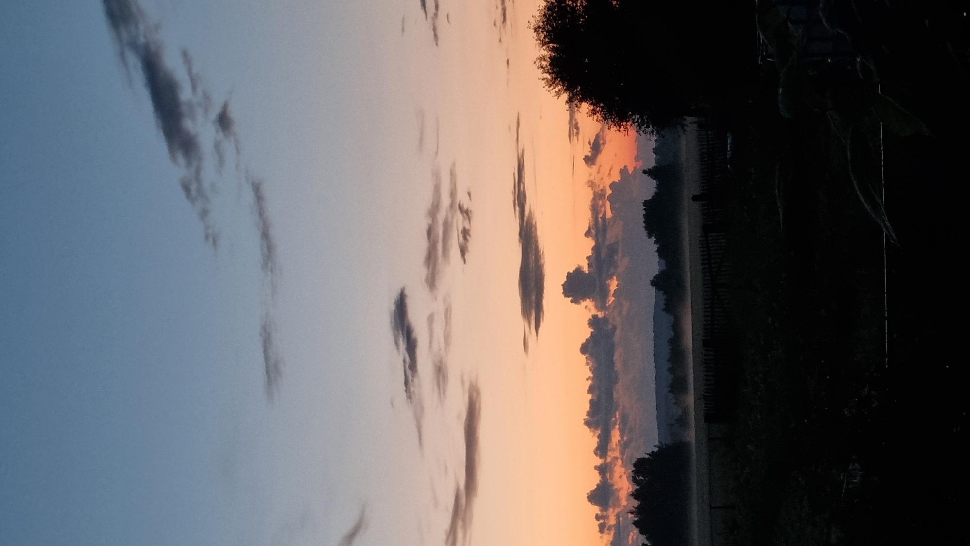 This is a vertical, medium-shot photograph of a rural landscape at dusk. The sky transitions from a pale blue at the top to a warm orange near the horizon, with scattered clouds. In the foreground, a dark silhouette of trees and a fence spans the width of the image, with a hint of a field behind it, possibly with a light mist. The overall impression is of a peaceful, twilight scene in a rural area. The location is identified as the city of Vysokoe, Russia. There are no people or animals visible in the image, nor any discernable actions or interactions.