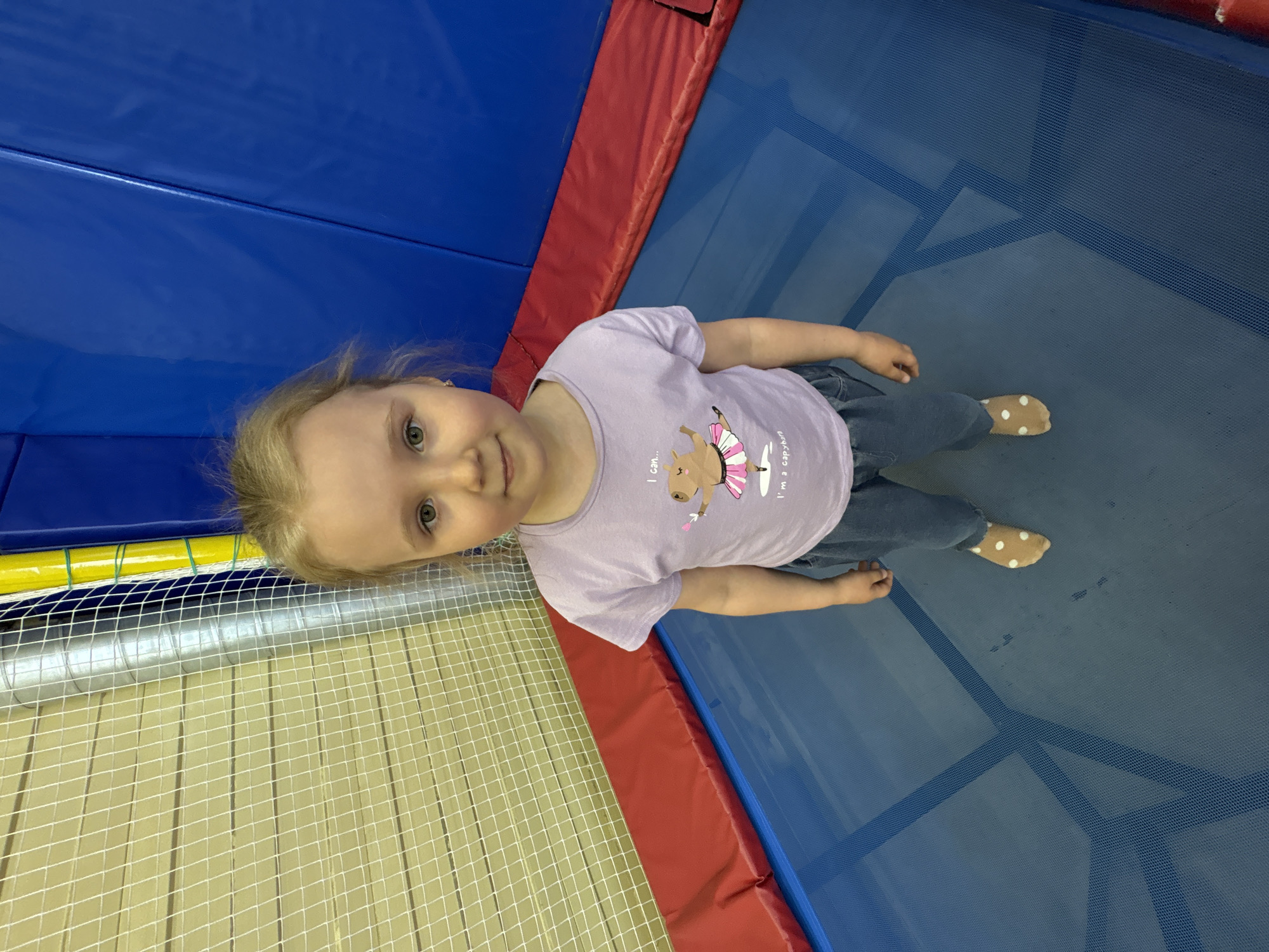 A young girl stands on a blue trampoline surrounded by safety padding and netting. The trampoline area is bordered by blue, red, yellow, and white safety features. The girl is wearing a light purple shirt with a ballerina llama design, blue jeans, and tan socks with white polka dots. The location is indoor and not possible to identify in Unknown, Unknown.
