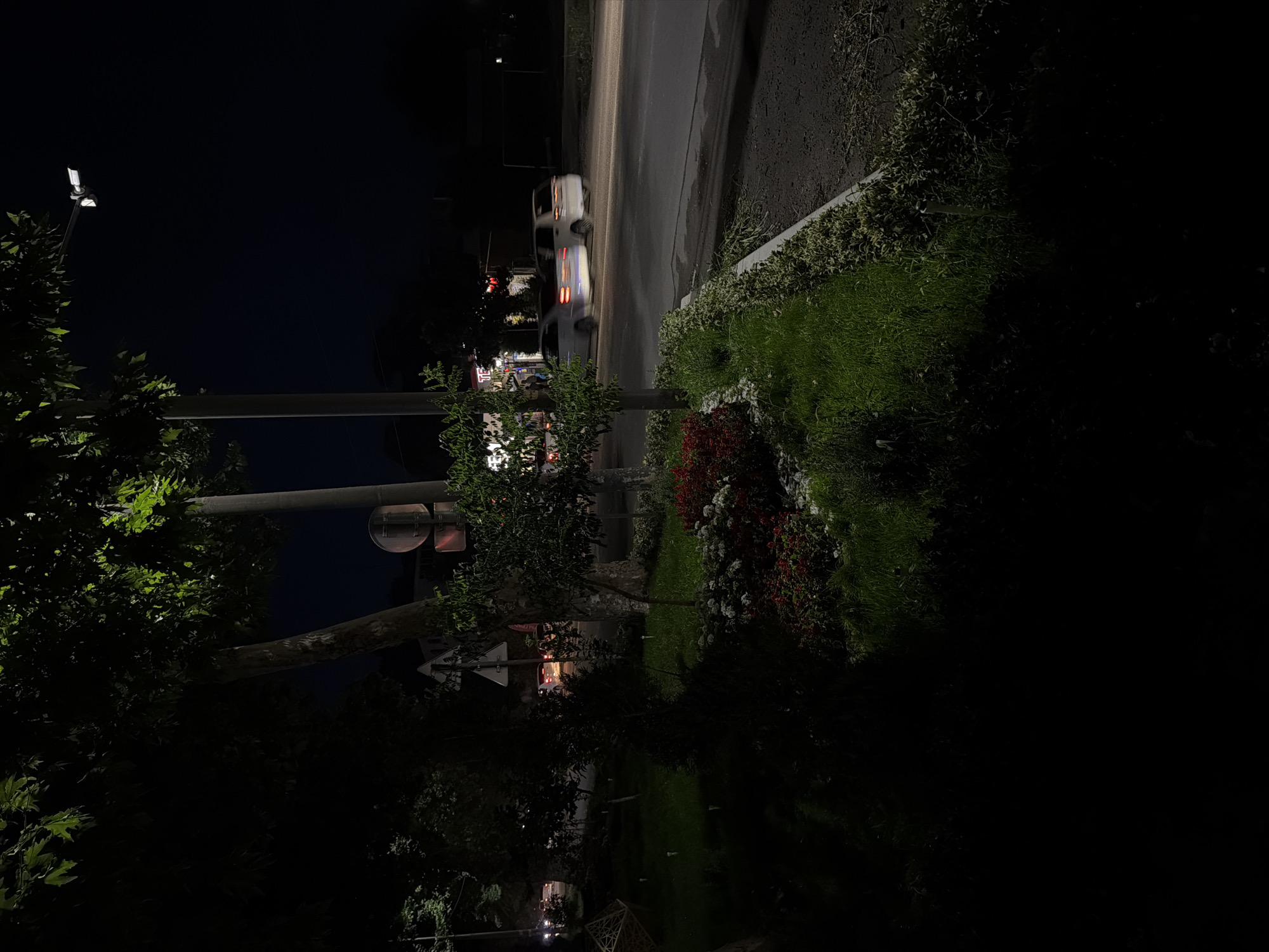 The image depicts a nighttime scene on a city street in Chirchik, Uzbekistan. A paved road runs horizontally across the frame, with two cars in motion, their headlights and taillights blurred due to the long exposure. On the left side of the road, a well-lit grassy area is visible, bordered by a flower bed with red and white flowers. A lamppost with an illuminated light fixture stands to the right of a large tree, casting light on the foliage and the street. The background shows buildings and more trees, with some lights indicating businesses. The overall atmosphere is that of a quiet urban night.