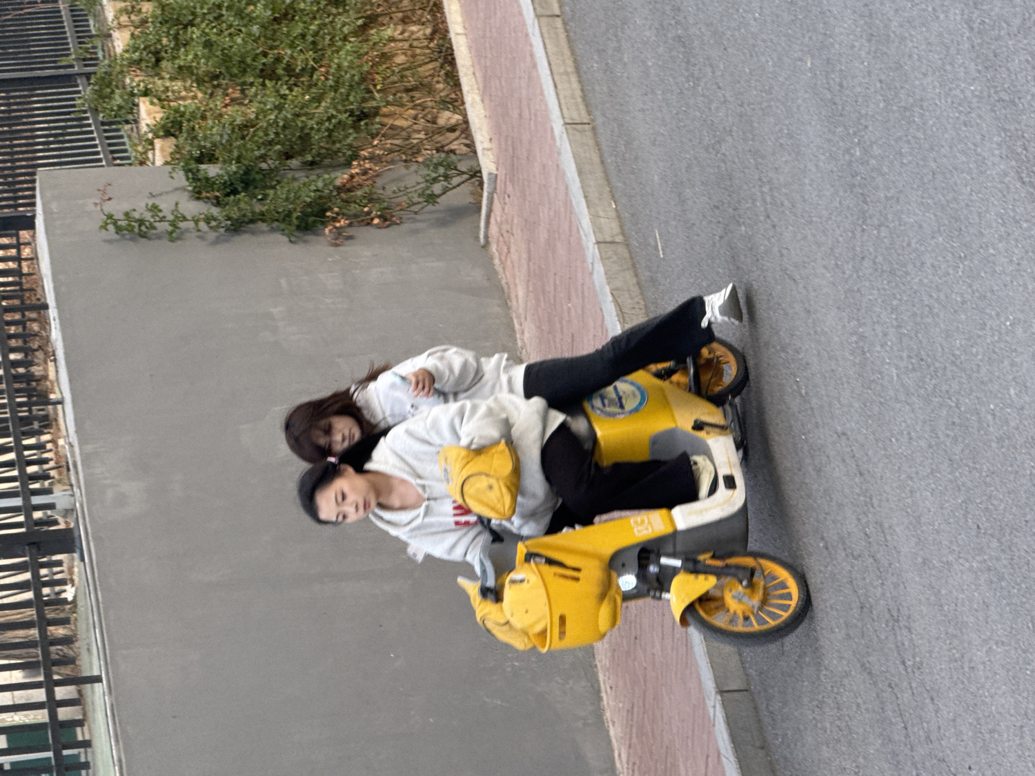 Two young East Asian women are captured riding or posing on a bright yellow electric scooter on an urban street. The image is taken from a slightly elevated perspective, with the street and sidewalk appearing vertically.
The woman in the front, with her dark hair tied back, is steering the scooter. She wears a light-colored (possibly white or light gray) hoodie and dark pants. The second woman is seated behind her, wearing a similar light-colored hoodie and dark pants, with her long dark hair flowing. She appears to be leaning against or embracing the front rider.
The scooter itself is predominantly yellow with white and blue accents. It features a front basket and yellow wheels. A small white number "83" is visible on the front of the scooter, and there are unreadable circular blue and white logos on its side.
The setting includes an asphalt road on the right, bordered by a reddish-brown brick sidewalk. To the left, there's a plain gray wall, behind which a black metal fence and green bushes with some bare branches are visible. The lighting suggests it is daytime, possibly overcast or late afternoon, as there are no harsh shadows. The women's attire of hoodies suggests mild to cool weather. Their expressions appear neutral and relaxed. The scene is consistent with an urban or suburban street in Zhongtun, China, given the prevalence of such shared electric scooters in the region.